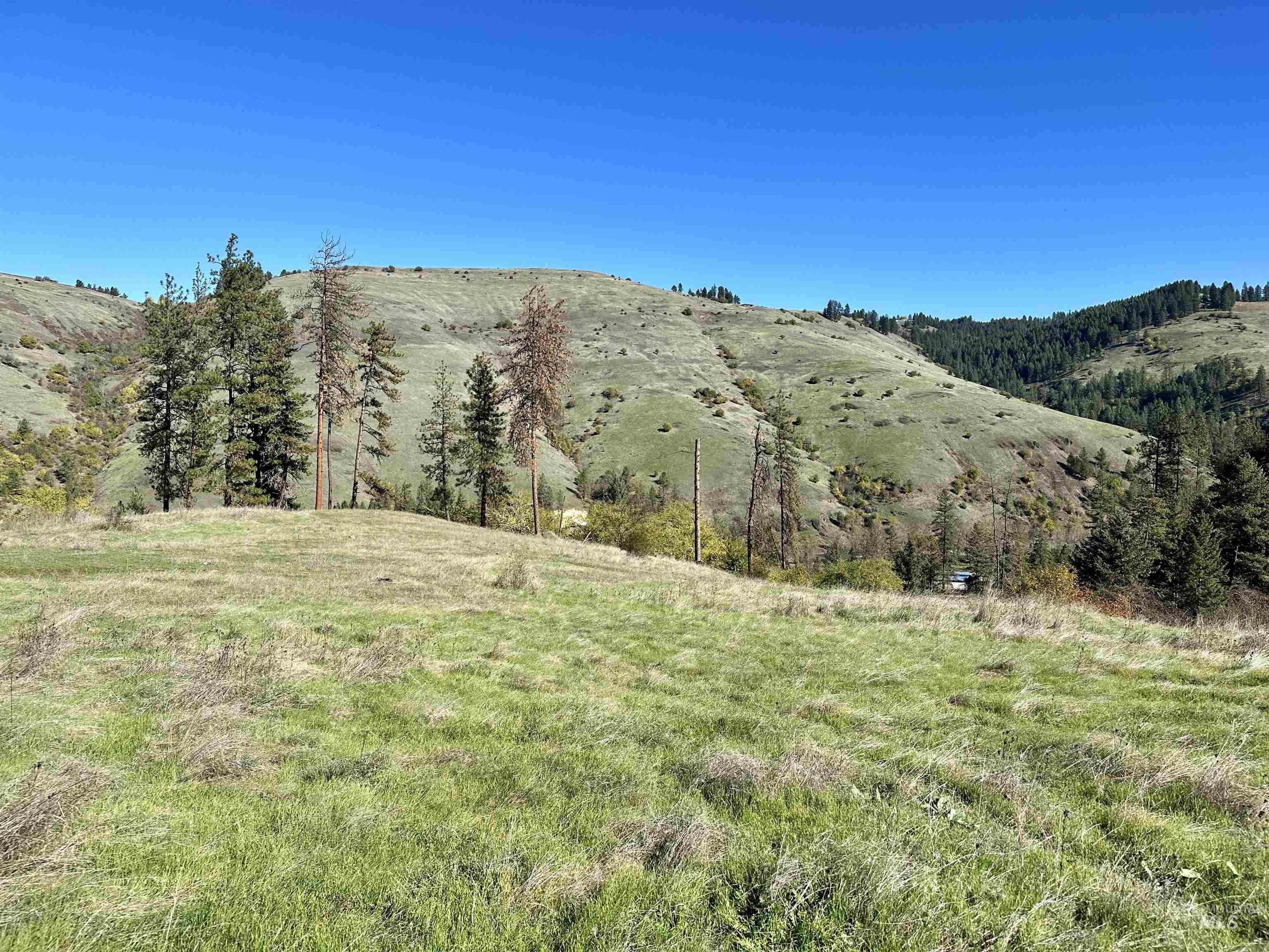 Lot 8 Blk B Elk Meadows Sub-Div, Kooskia, Idaho 83536, Land For Sale, Price $116,000,MLS 98917982