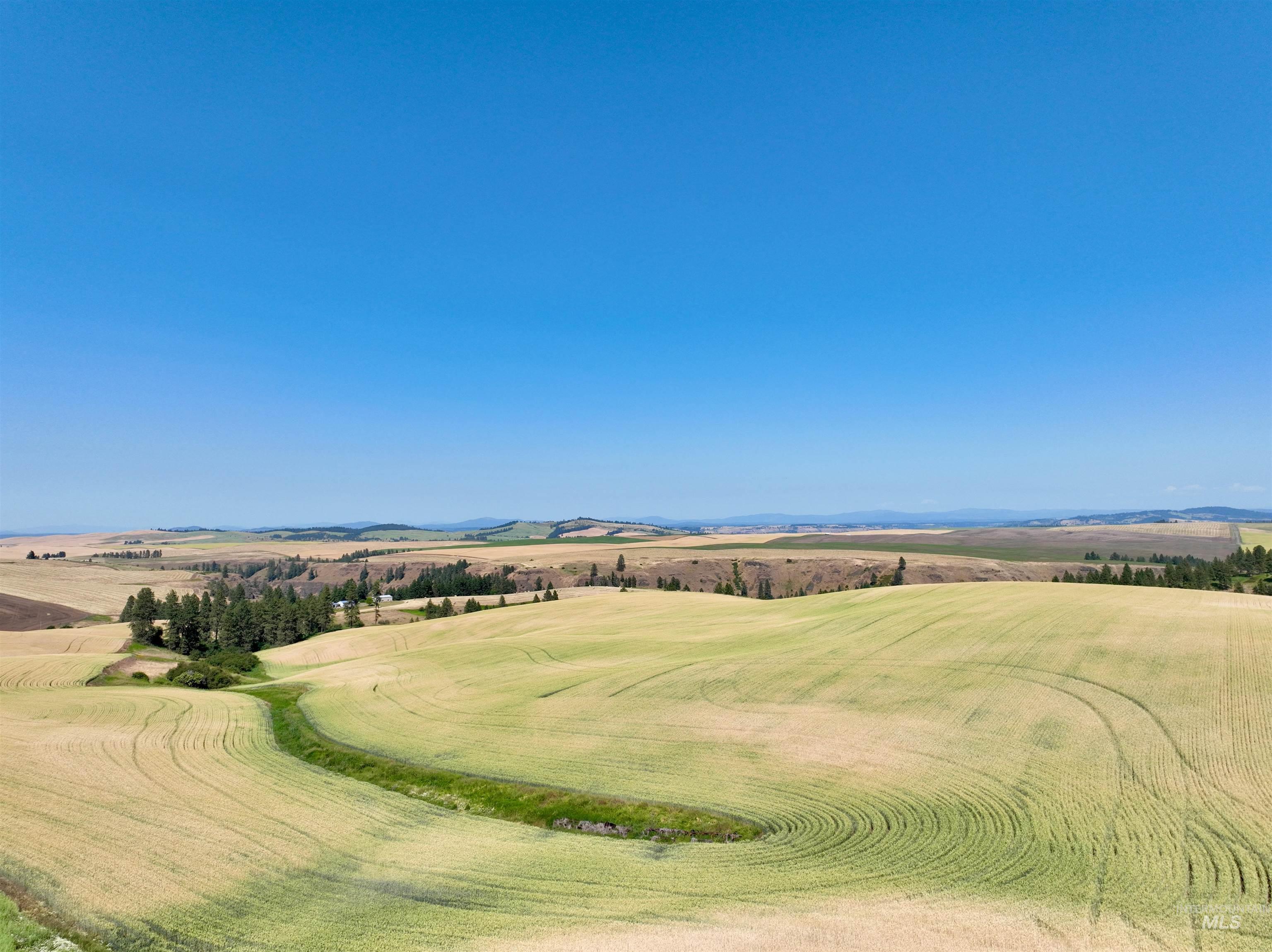 000 Central Ridge Rd, Craigmont, Idaho 83523, Land For Sale, Price $592,000,MLS 98917988