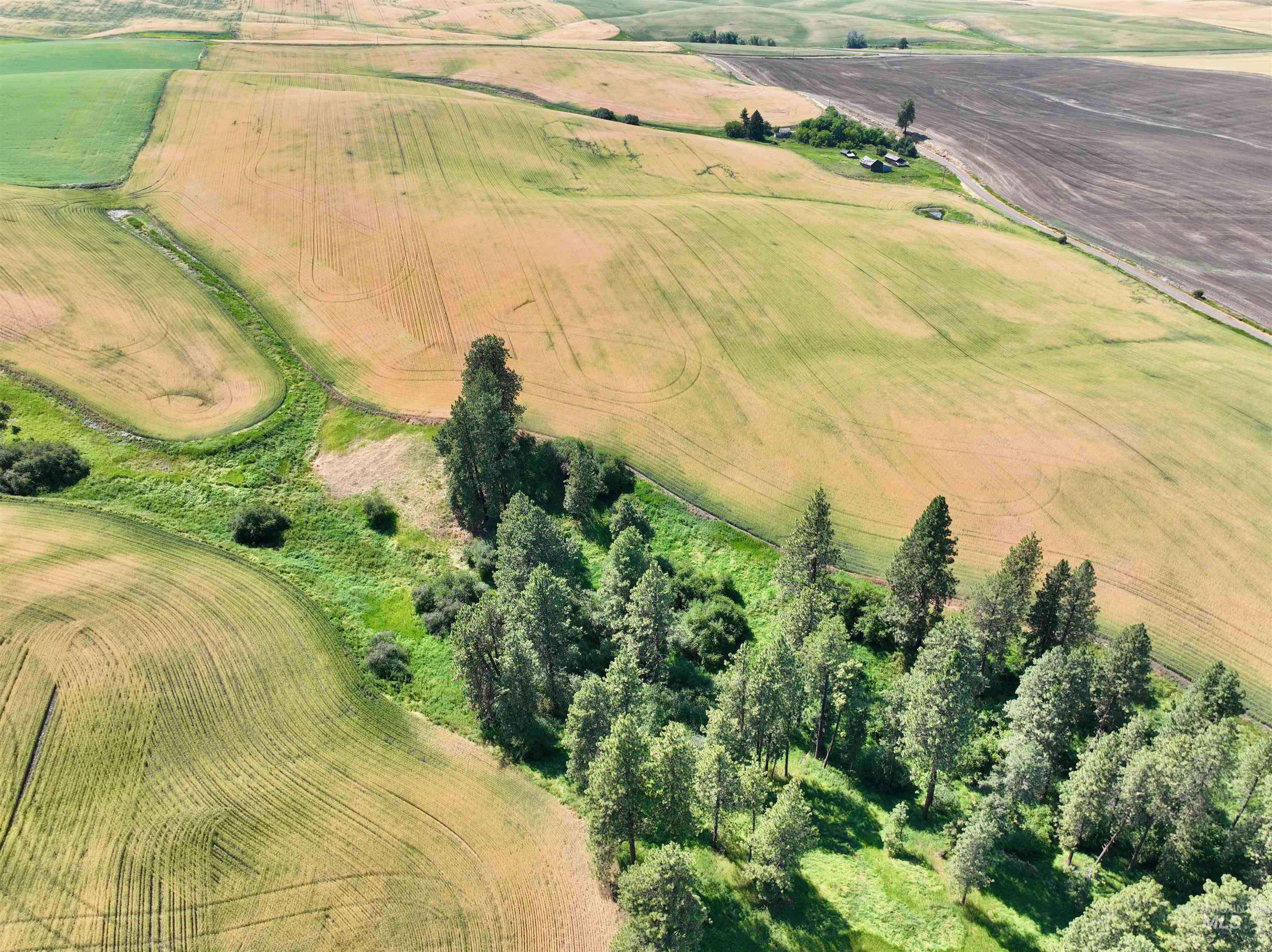 000 Central Ridge Rd, Craigmont, Idaho 83523, Land For Sale, Price $592,000,MLS 98917991