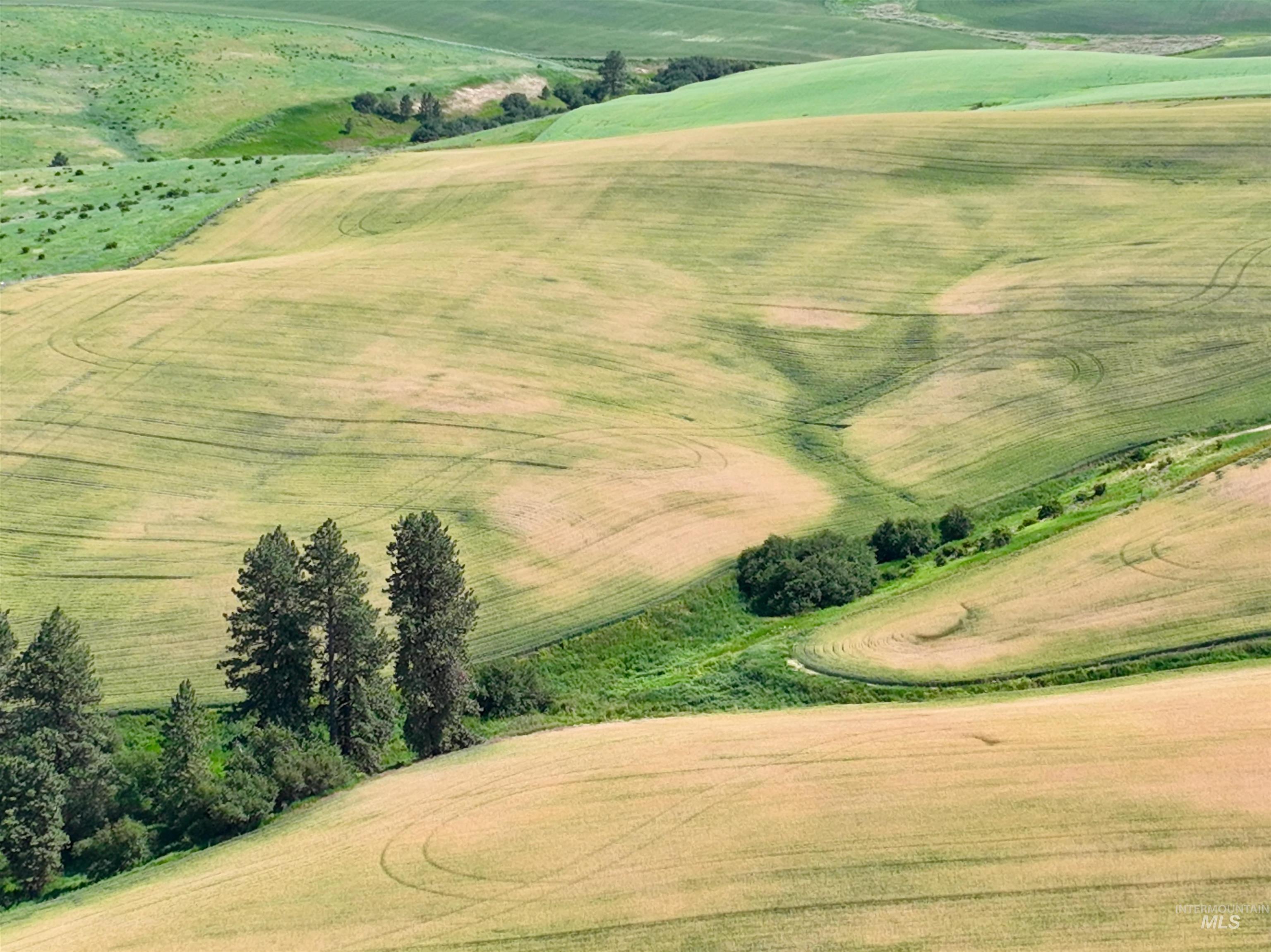 000 Central Ridge Rd, Craigmont, Idaho 83523, Land For Sale, Price $592,000,MLS 98917991
