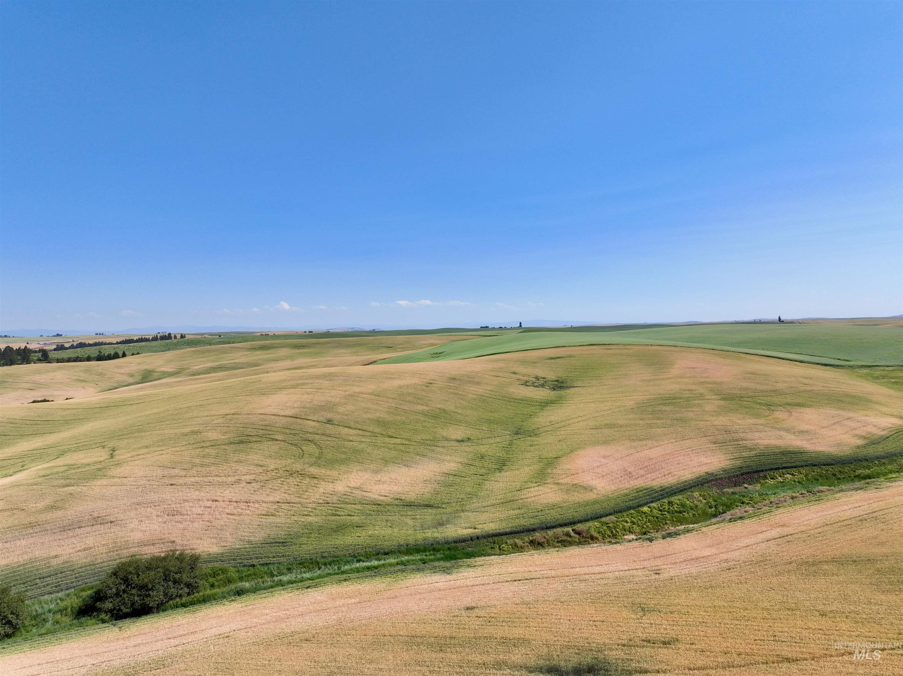 000 Central Ridge Rd, Craigmont, Idaho 83523, Land For Sale, Price $592,000,MLS 98917991