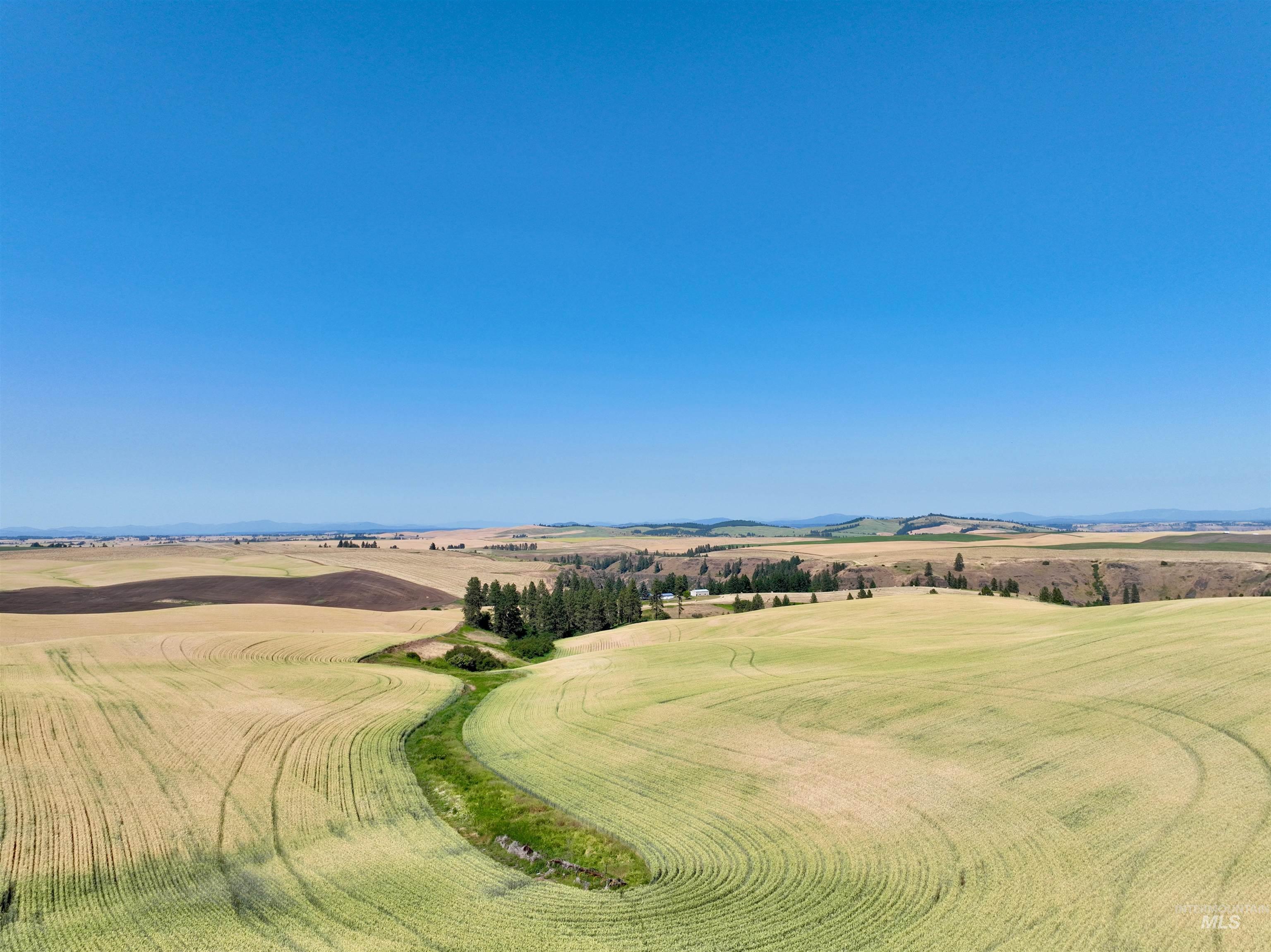 000 Central Ridge Rd, Craigmont, Idaho 83523, Land For Sale, Price $592,000,MLS 98917991