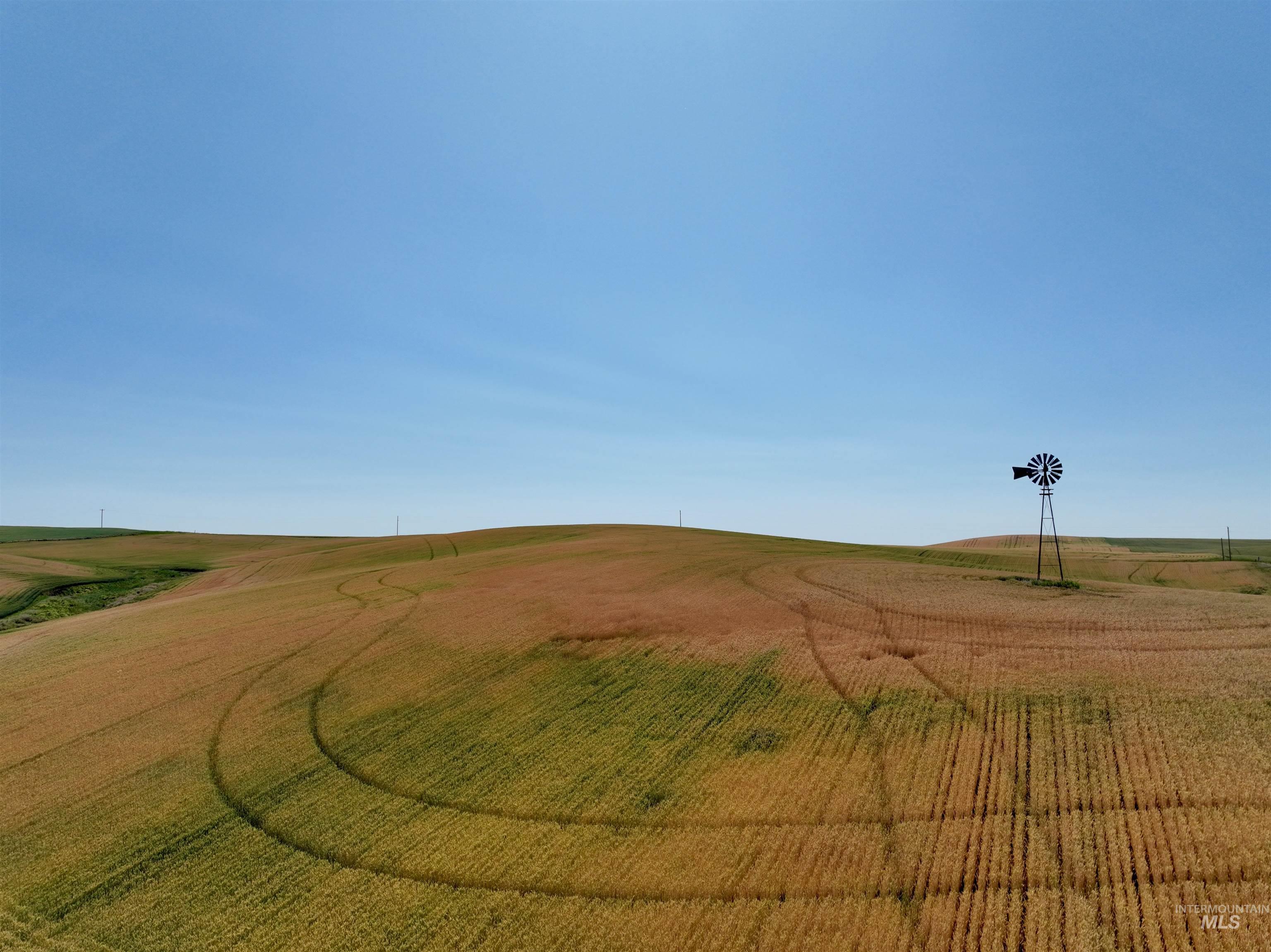 000 Central Ridge Rd, Craigmont, Idaho 83523, Land For Sale, Price $592,000,MLS 98917991