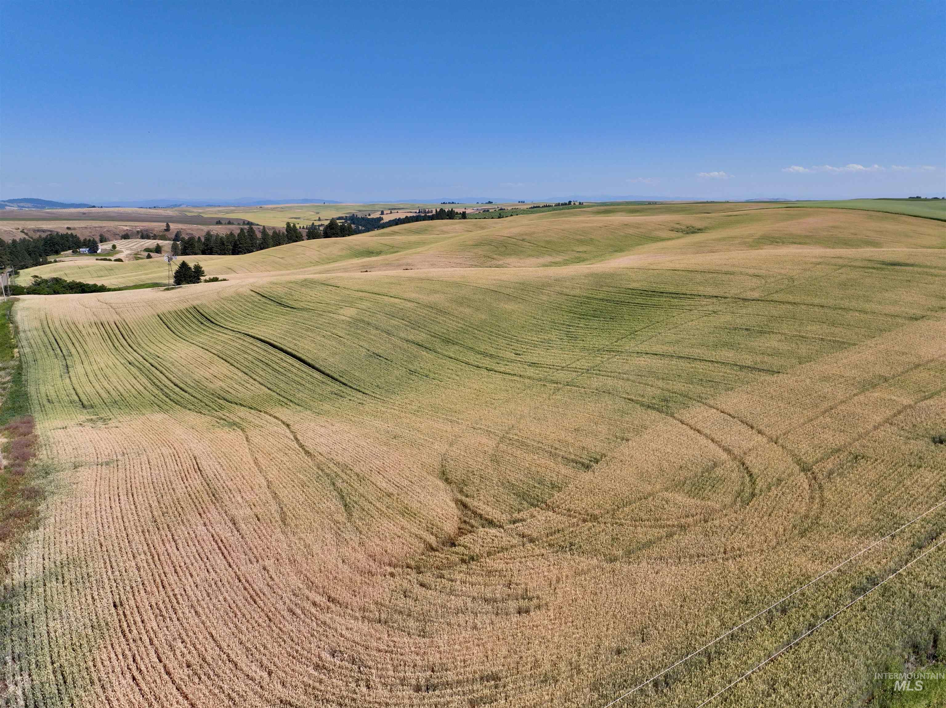 000 Central Ridge Rd, Craigmont, Idaho 83523, Land For Sale, Price $592,000,MLS 98917991