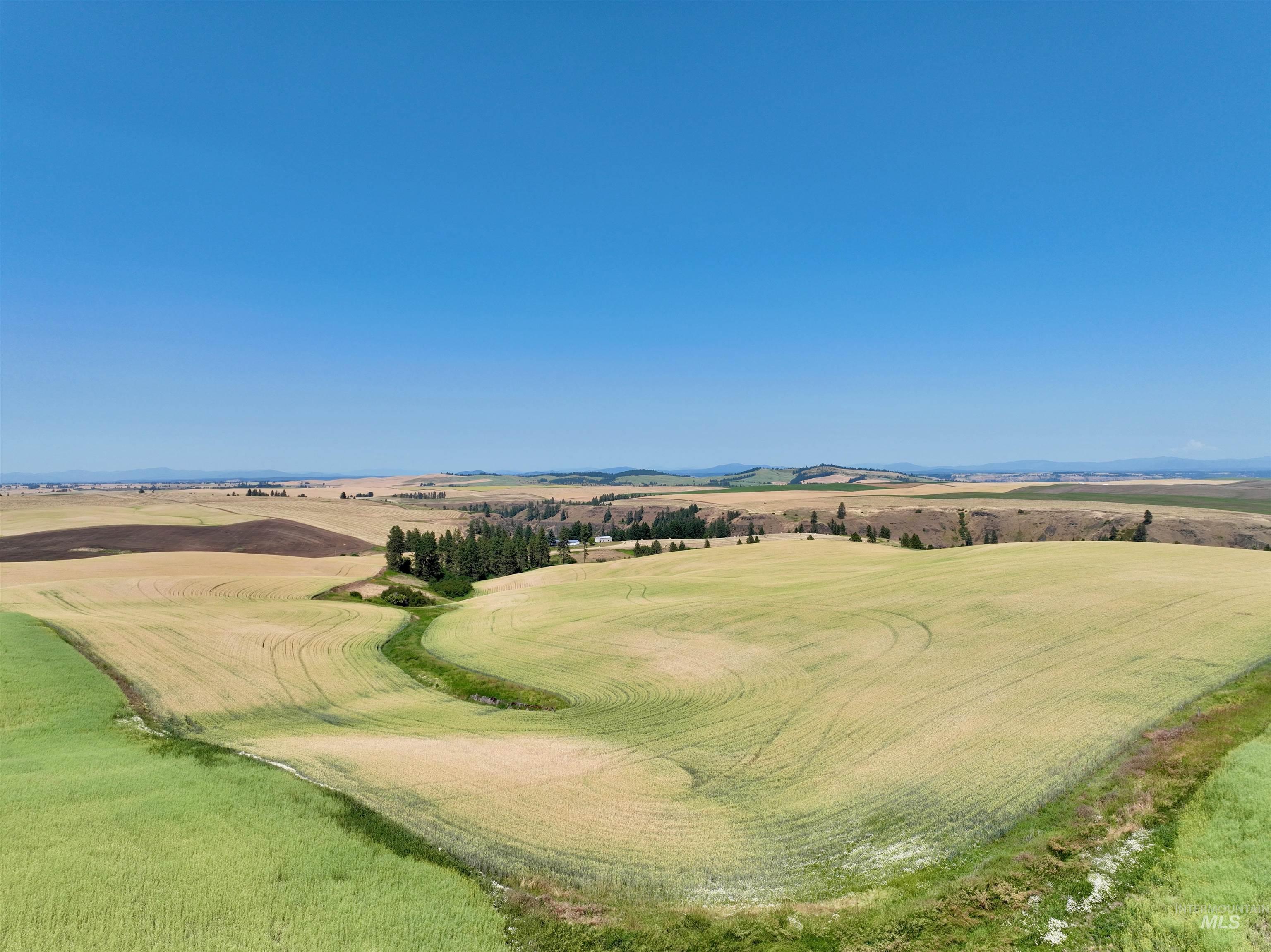 000 Central Ridge Rd, Craigmont, Idaho 83523, Land For Sale, Price $592,000,MLS 98917991