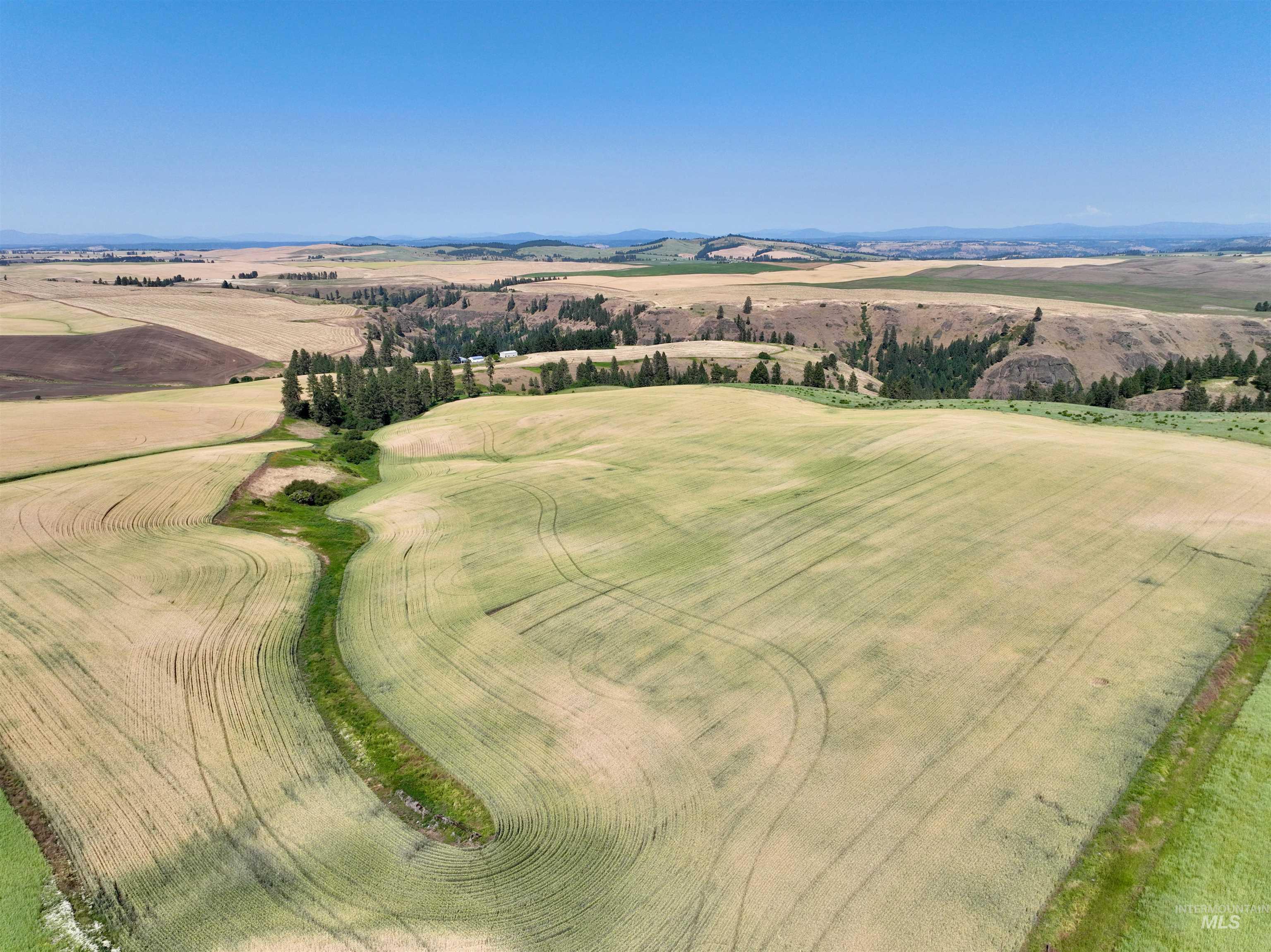 000 Central Ridge Rd, Craigmont, Idaho 83523, Land For Sale, Price $592,000,MLS 98917991
