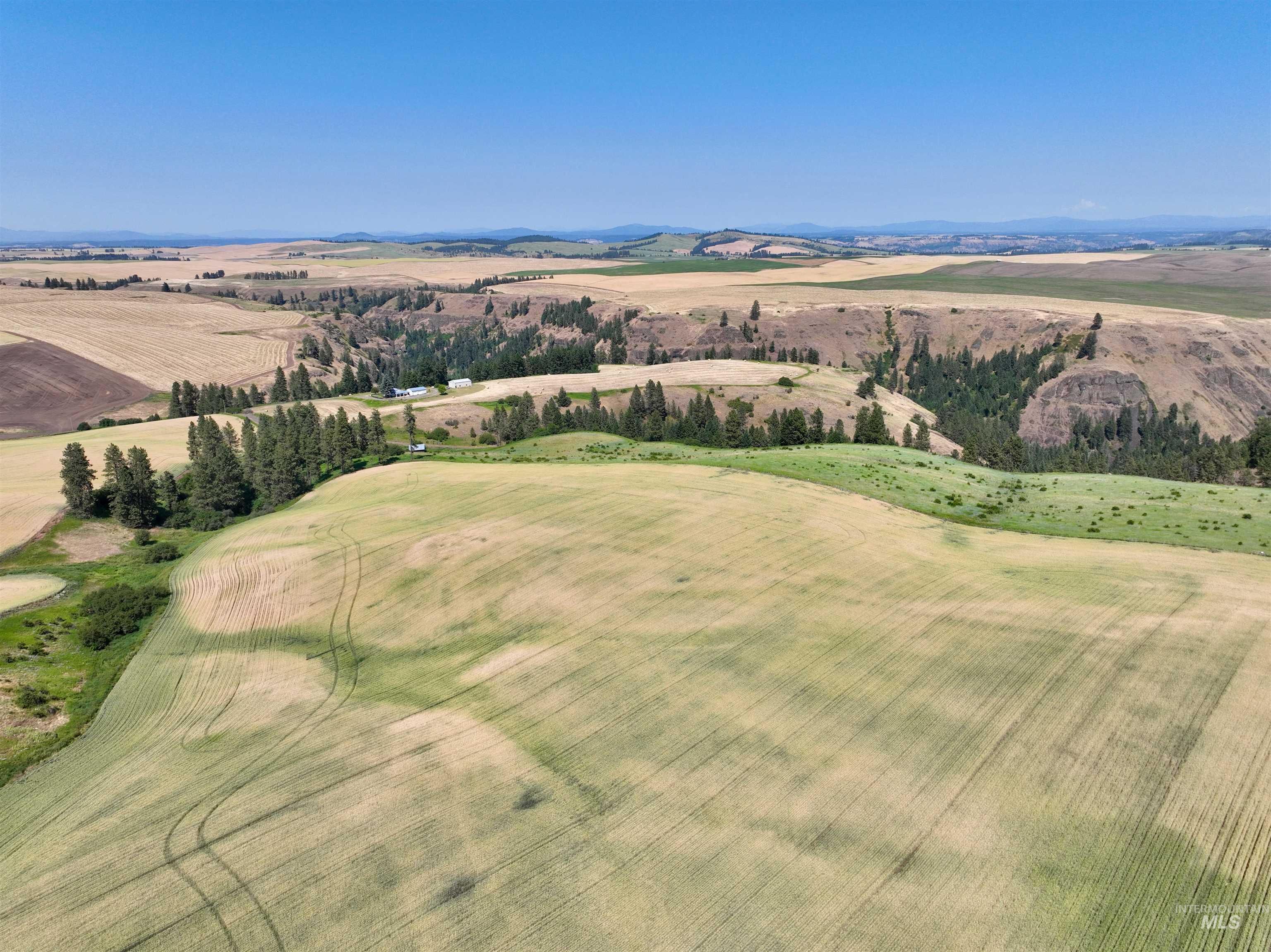 000 Central Ridge Rd, Craigmont, Idaho 83523, Land For Sale, Price $592,000,MLS 98917991