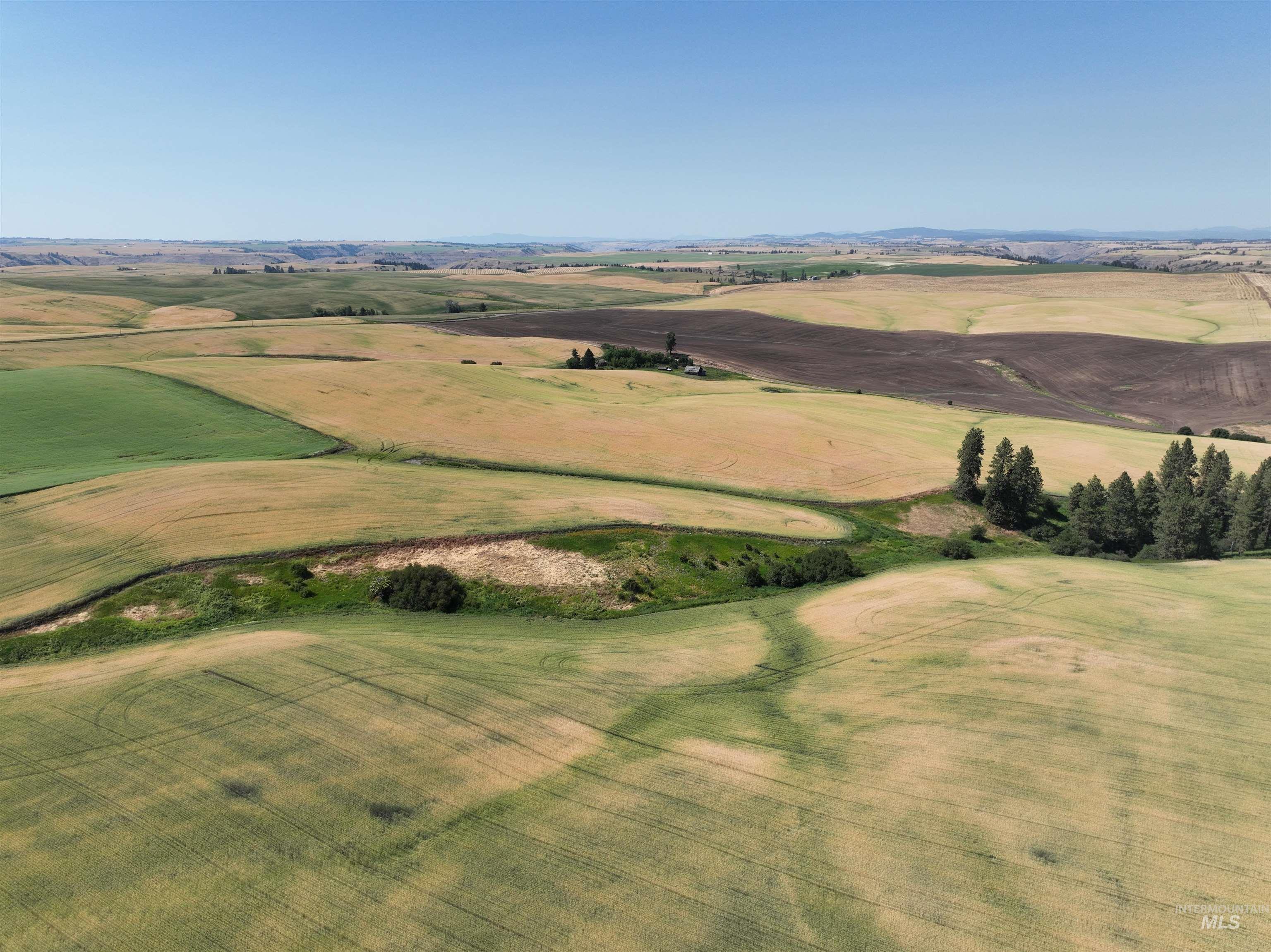 000 Central Ridge Rd, Craigmont, Idaho 83523, Land For Sale, Price $592,000,MLS 98917991