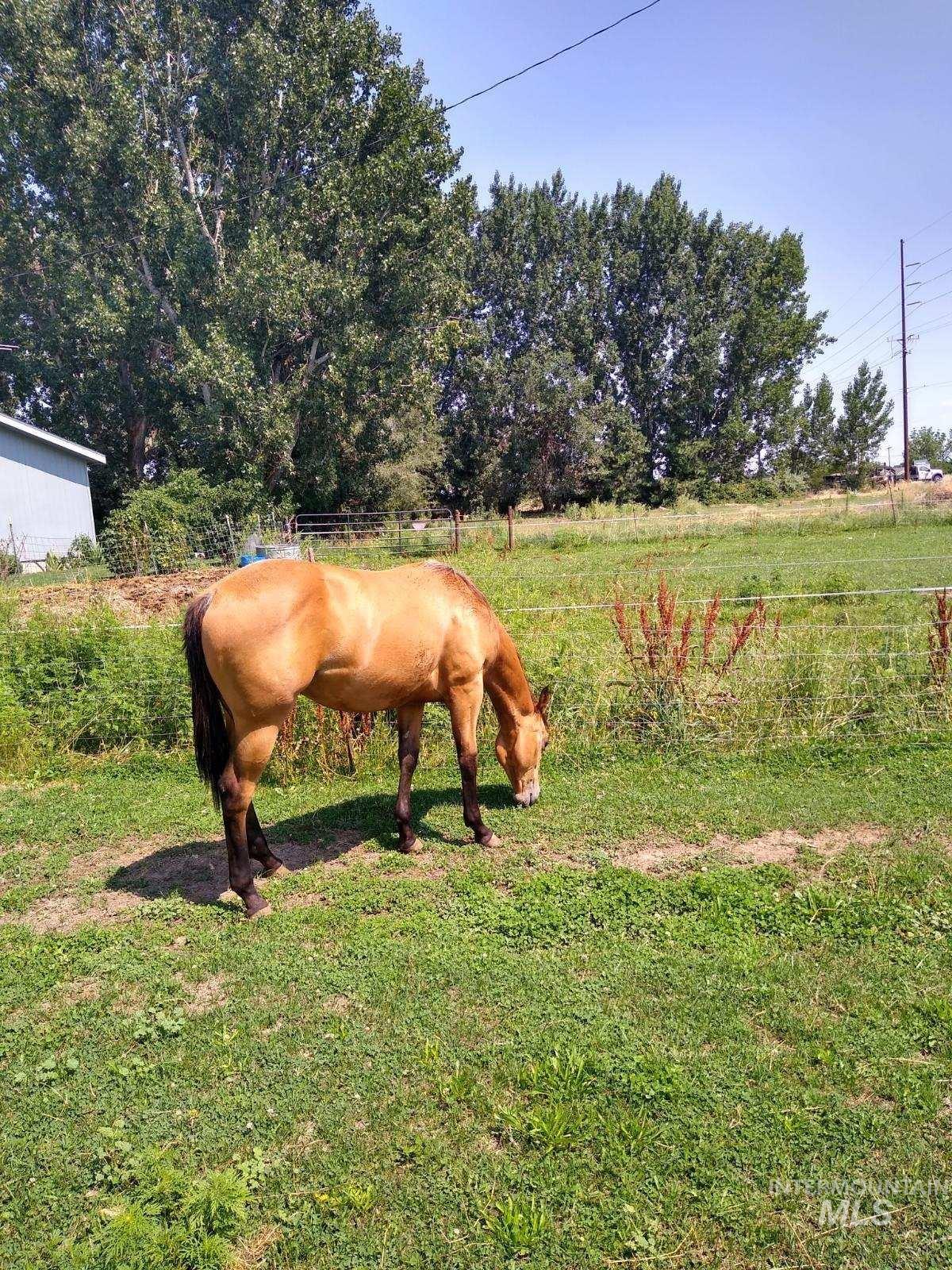 22153 N CanAda, Star, Idaho 83669, Land For Sale, Price $6,180,000, 98918057