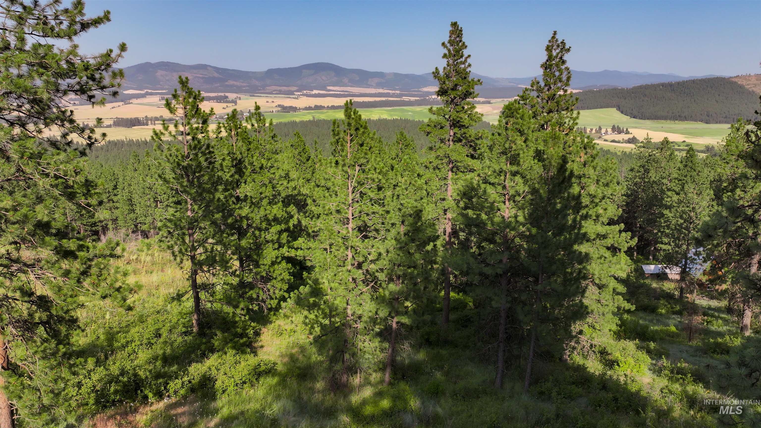 1221 Shady Lane, De Smet, Idaho 83824, Land For Sale, Price $90,000,MLS 98918100