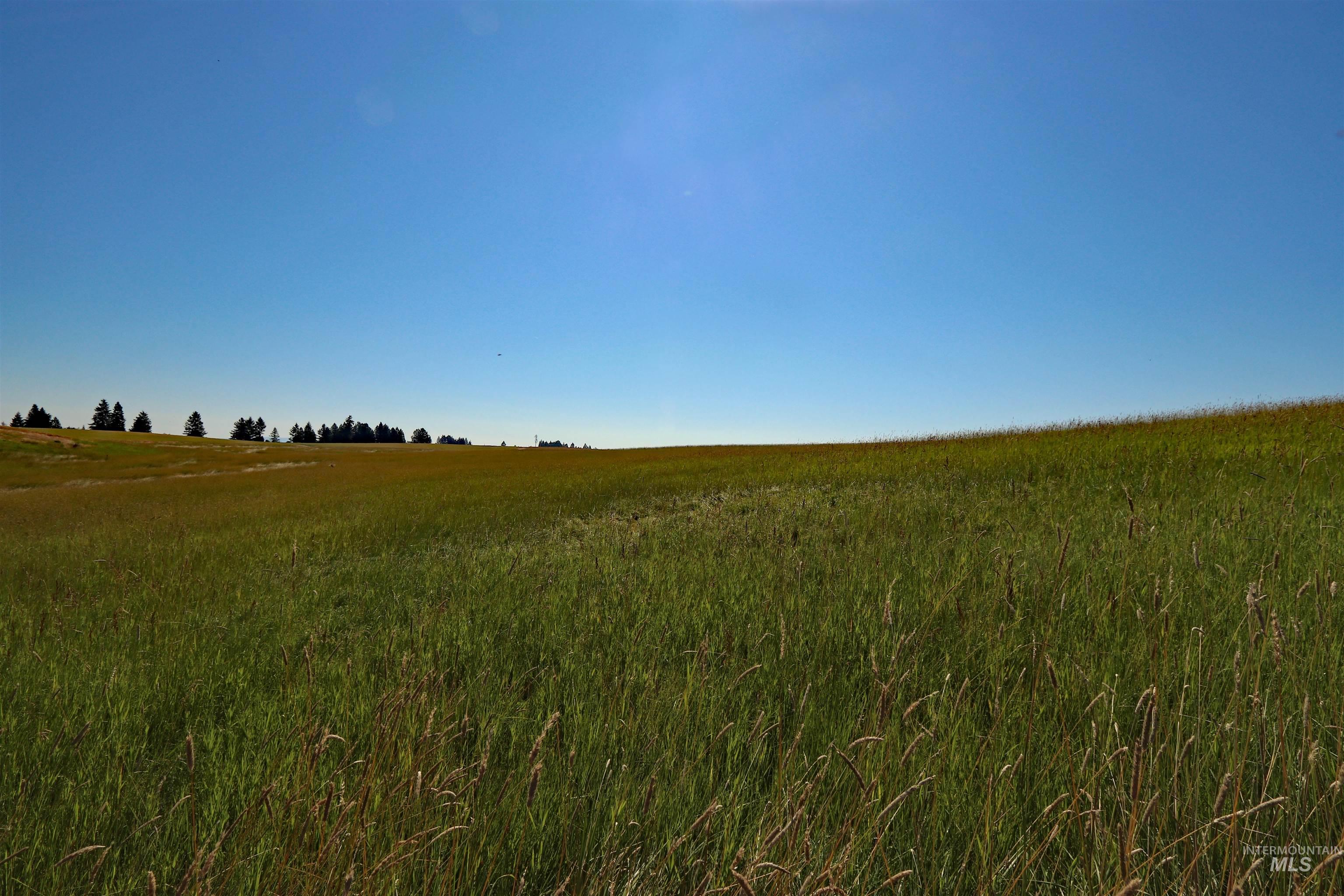 TBD Stuart Road, Parcel A, Orofino, Idaho 83544, Land For Sale, Price $160,950, 98918104