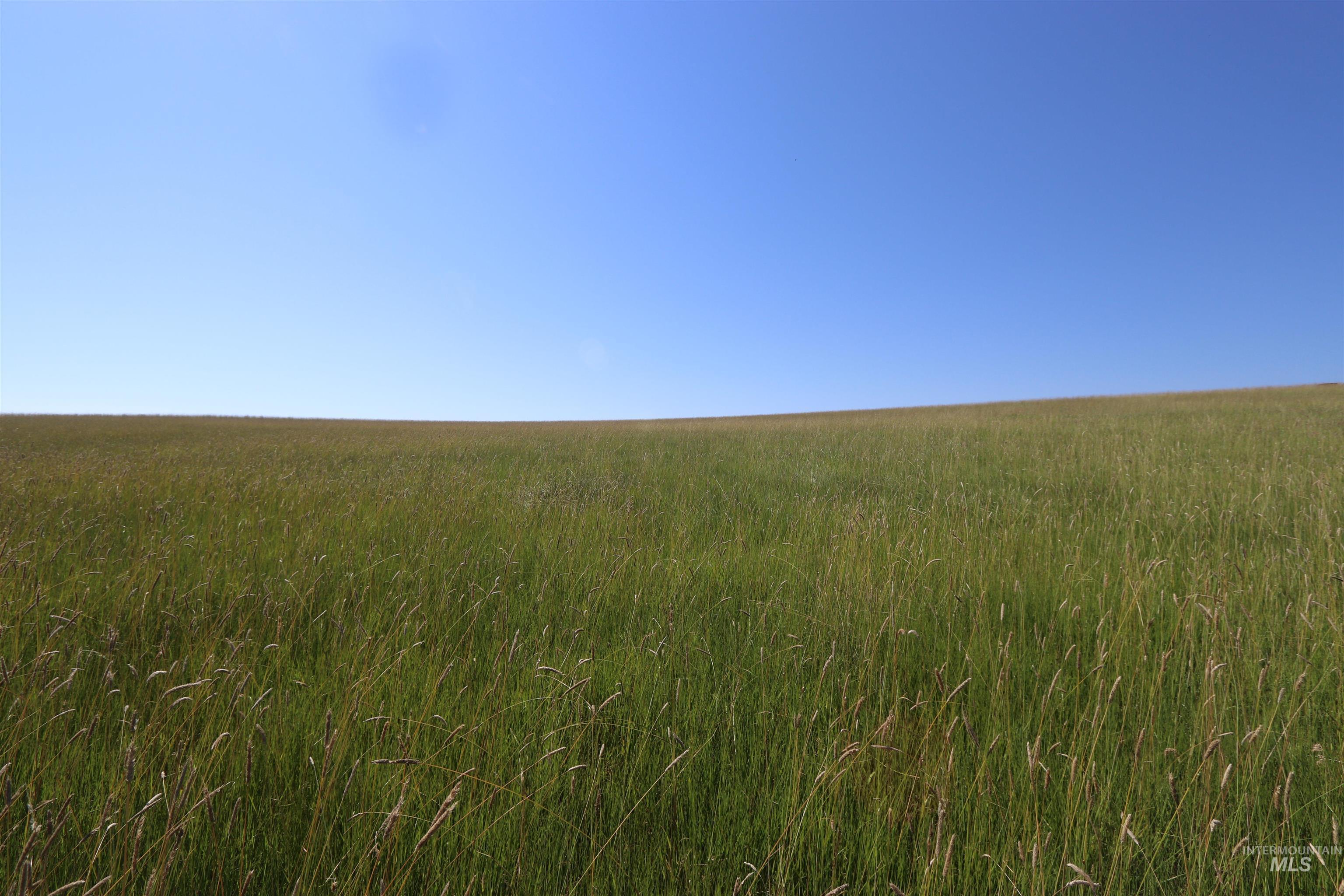 TBD Stuart Road, Parcel A, Orofino, Idaho 83544, Land For Sale, Price $160,950, 98918104