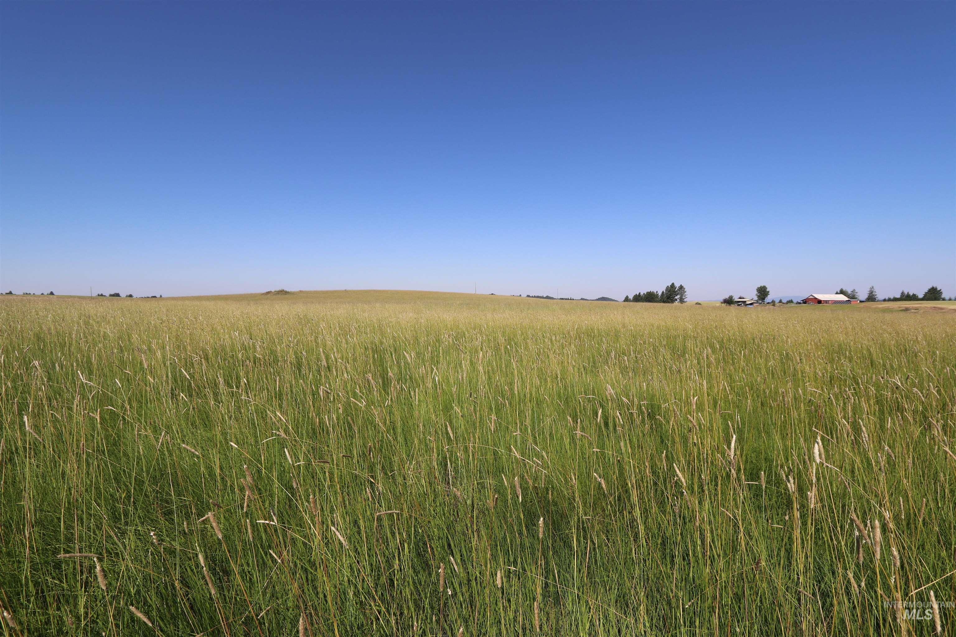 TBD Stuart Road, Parcel A, Orofino, Idaho 83544, Land For Sale, Price $160,950, 98918104