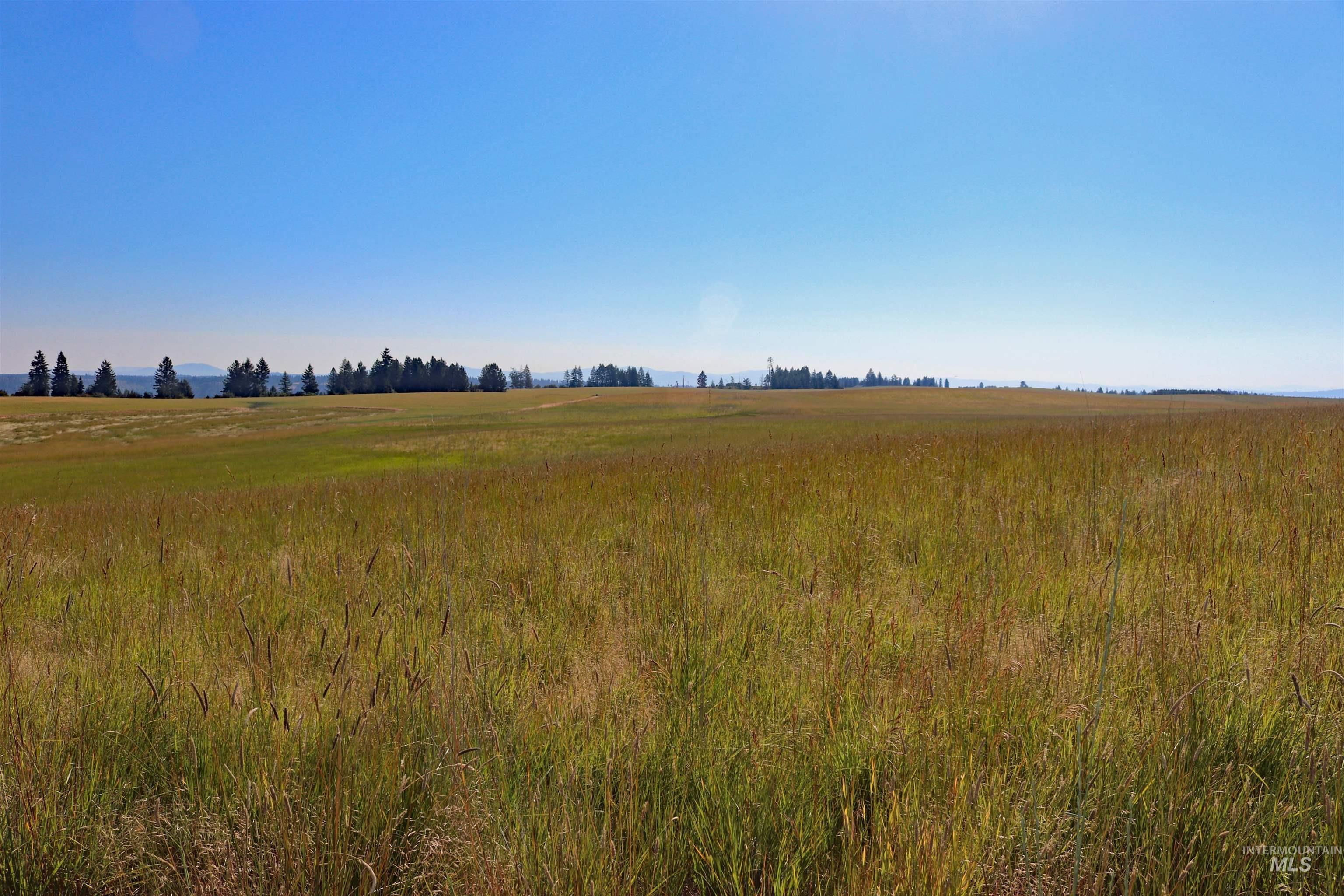 TBD Stuart Road, Parcel A, Orofino, Idaho 83544, Land For Sale, Price $160,950, 98918104