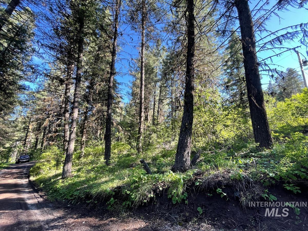 TBD Ruth Street, Cascade, Idaho 83611, Land For Sale, Price $60,000, 98918280