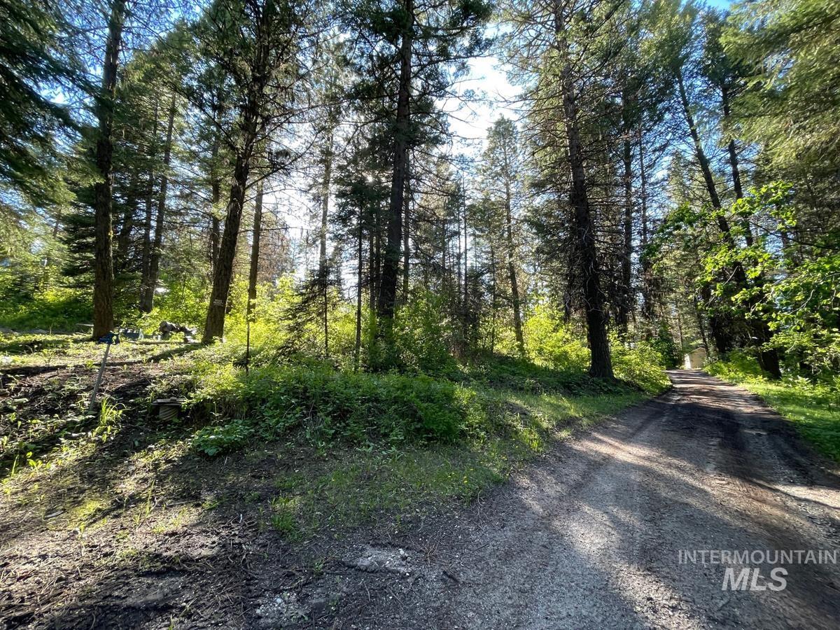 TBD Ruth Street, Cascade, Idaho 83611, Land For Sale, Price $60,000, 98918280