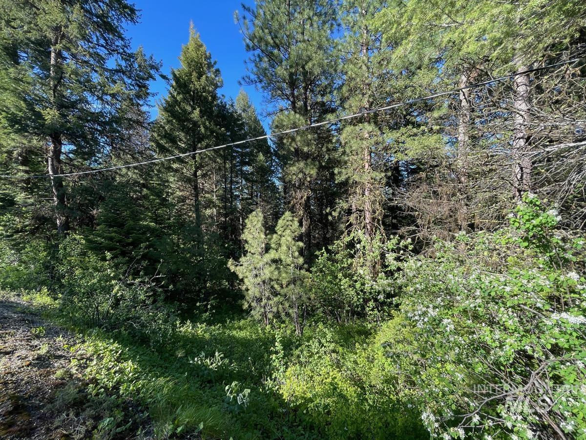 TBD Ruth Street, Cascade, Idaho 83611, Land For Sale, Price $60,000, 98918280