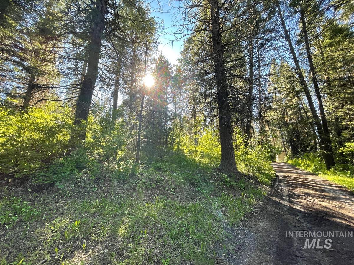 TBD Ruth Street, Cascade, Idaho 83611, Land For Sale, Price $60,000, 98918280