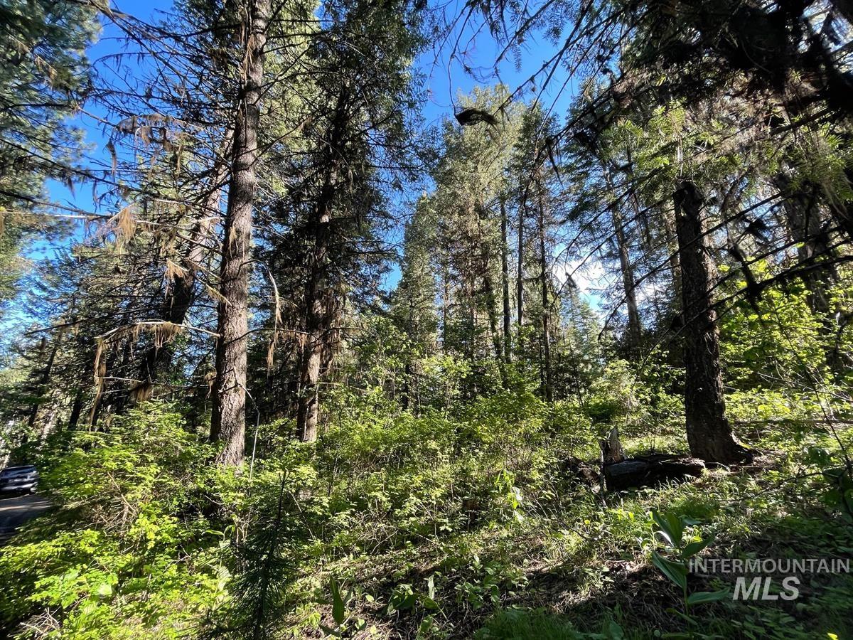 TBD Ruth Street, Cascade, Idaho 83611, Land For Sale, Price $60,000, 98918280