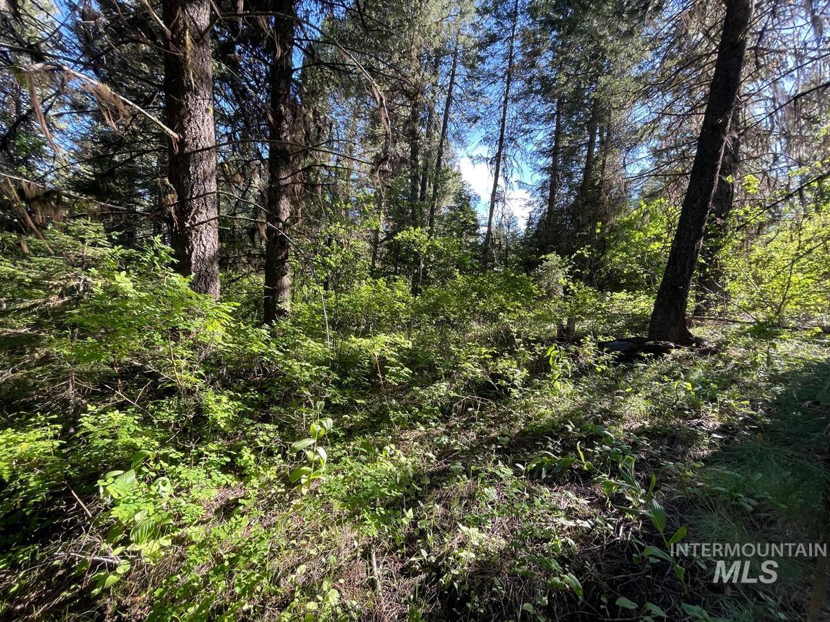 TBD Ruth Street, Cascade, Idaho 83611, Land For Sale, Price $60,000, 98918280