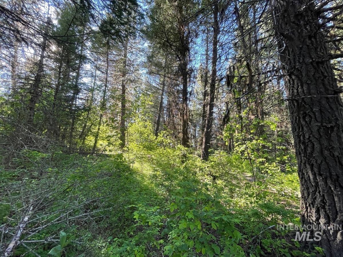 TBD Ruth Street, Cascade, Idaho 83611, Land For Sale, Price $60,000, 98918280