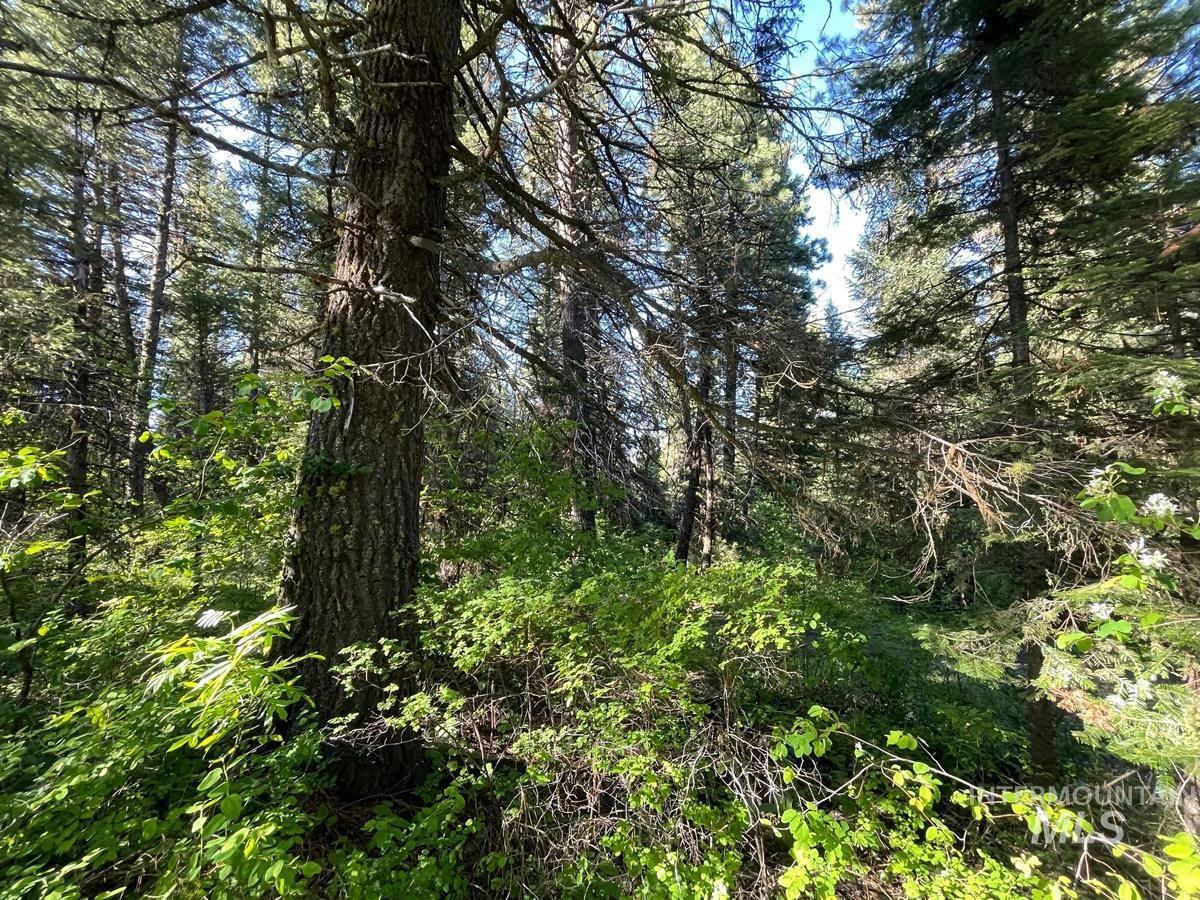 TBD Ruth Street, Cascade, Idaho 83611, Land For Sale, Price $60,000, 98918280
