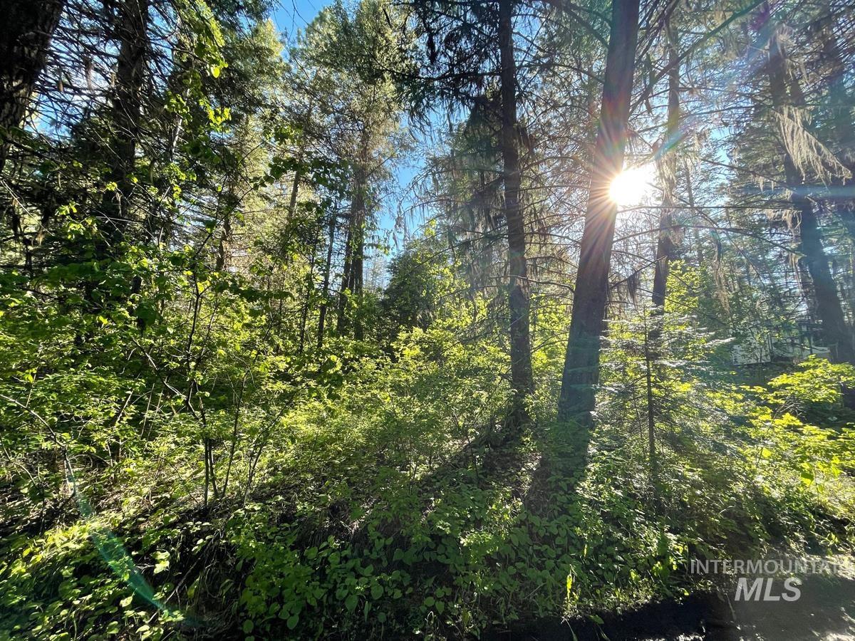 TBD Ruth Street, Cascade, Idaho 83611, Land For Sale, Price $60,000, 98918280