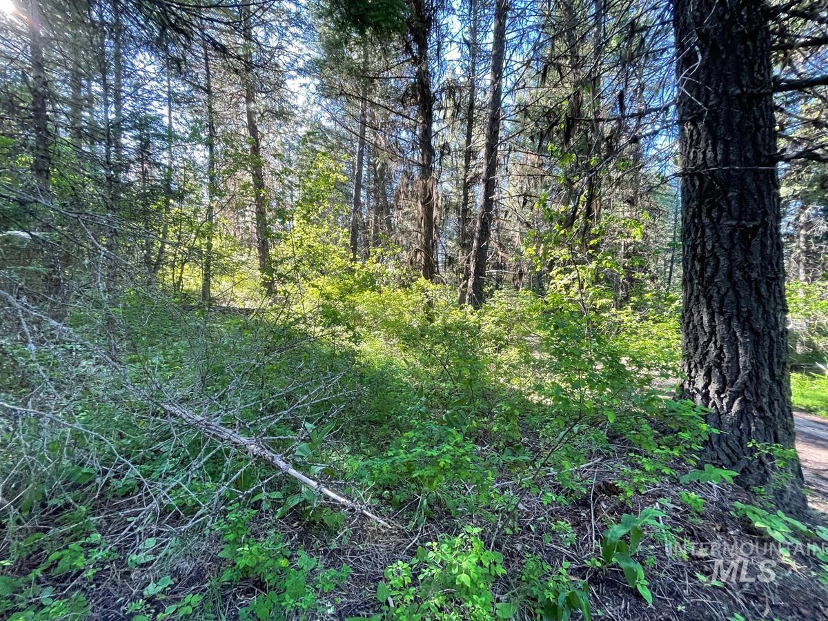 TBD Ruth Street, Cascade, Idaho 83611, Land For Sale, Price $60,000, 98918280