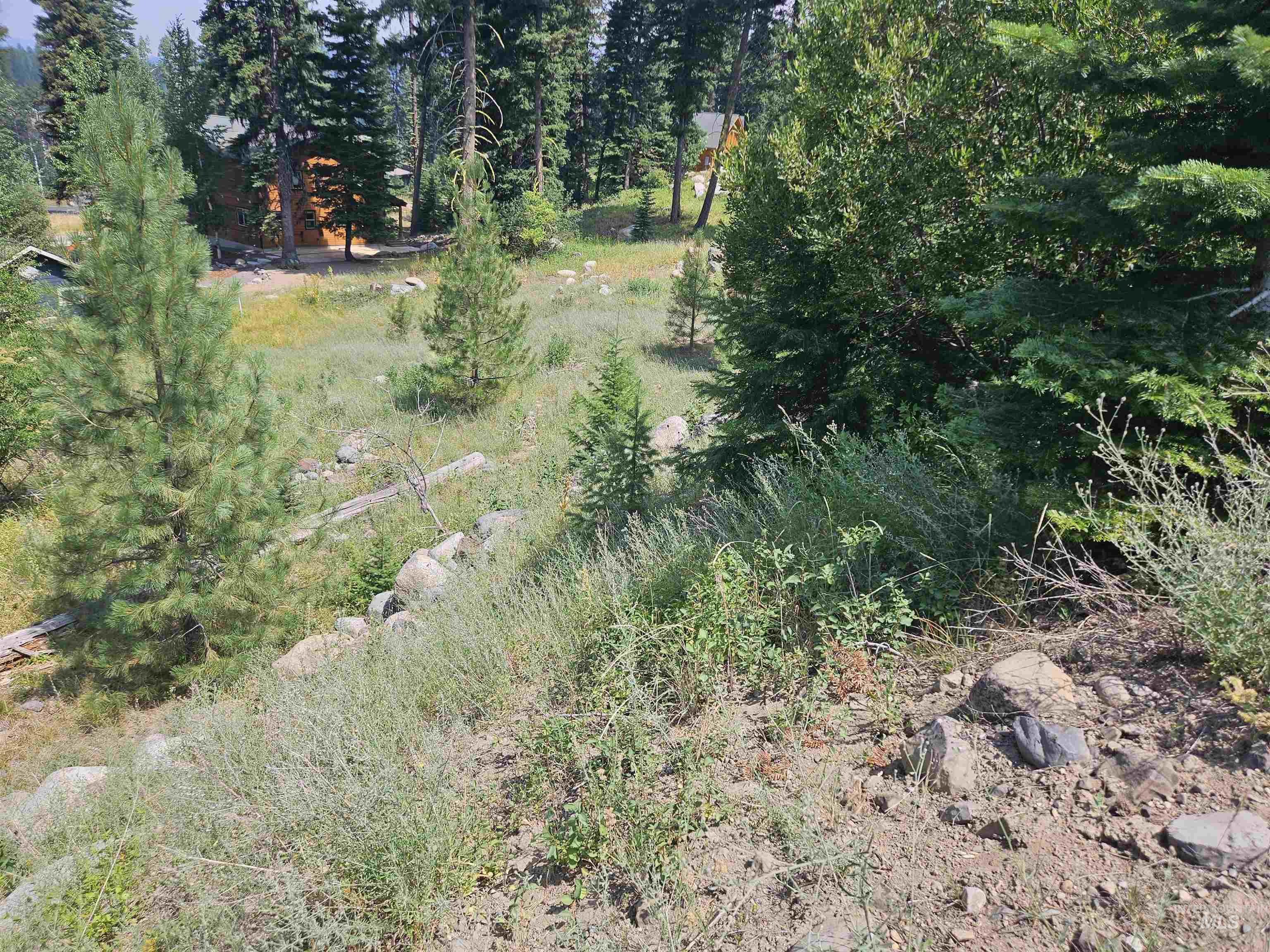 1250 Aspen Ridge Lane, McCall, Idaho 83638, Land For Sale, Price $225,000,MLS 98918423