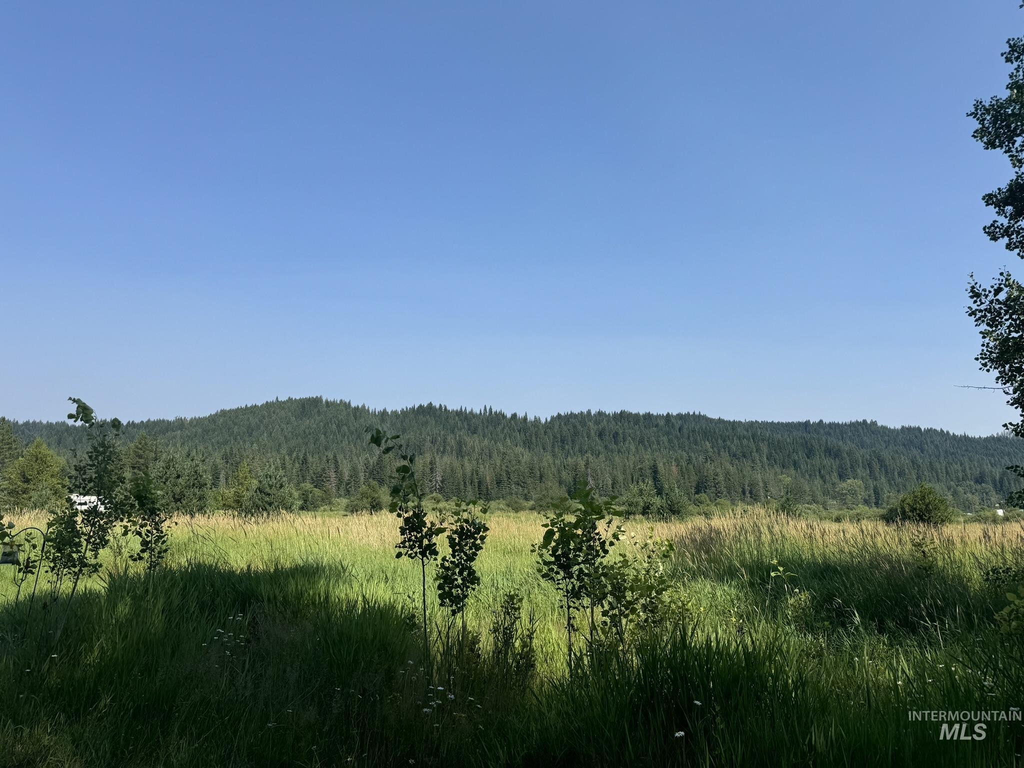 TBD N Front Street, Elk River, Idaho 83827, Land For Sale, Price $335,000,MLS 98918456