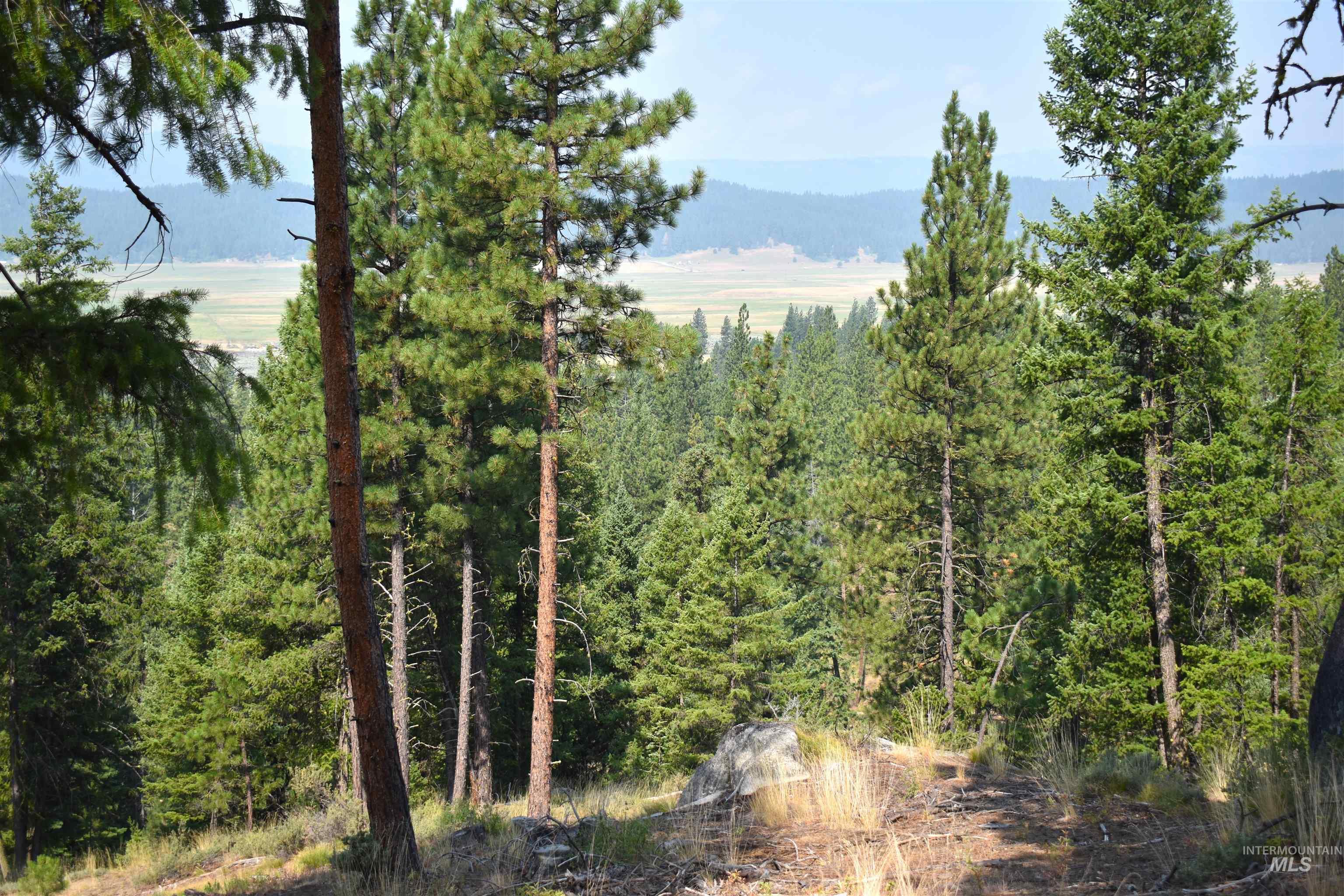 33 San Ignacio Way, Cascade, Idaho 83611, Land For Sale, Price $425,000,MLS 98918666