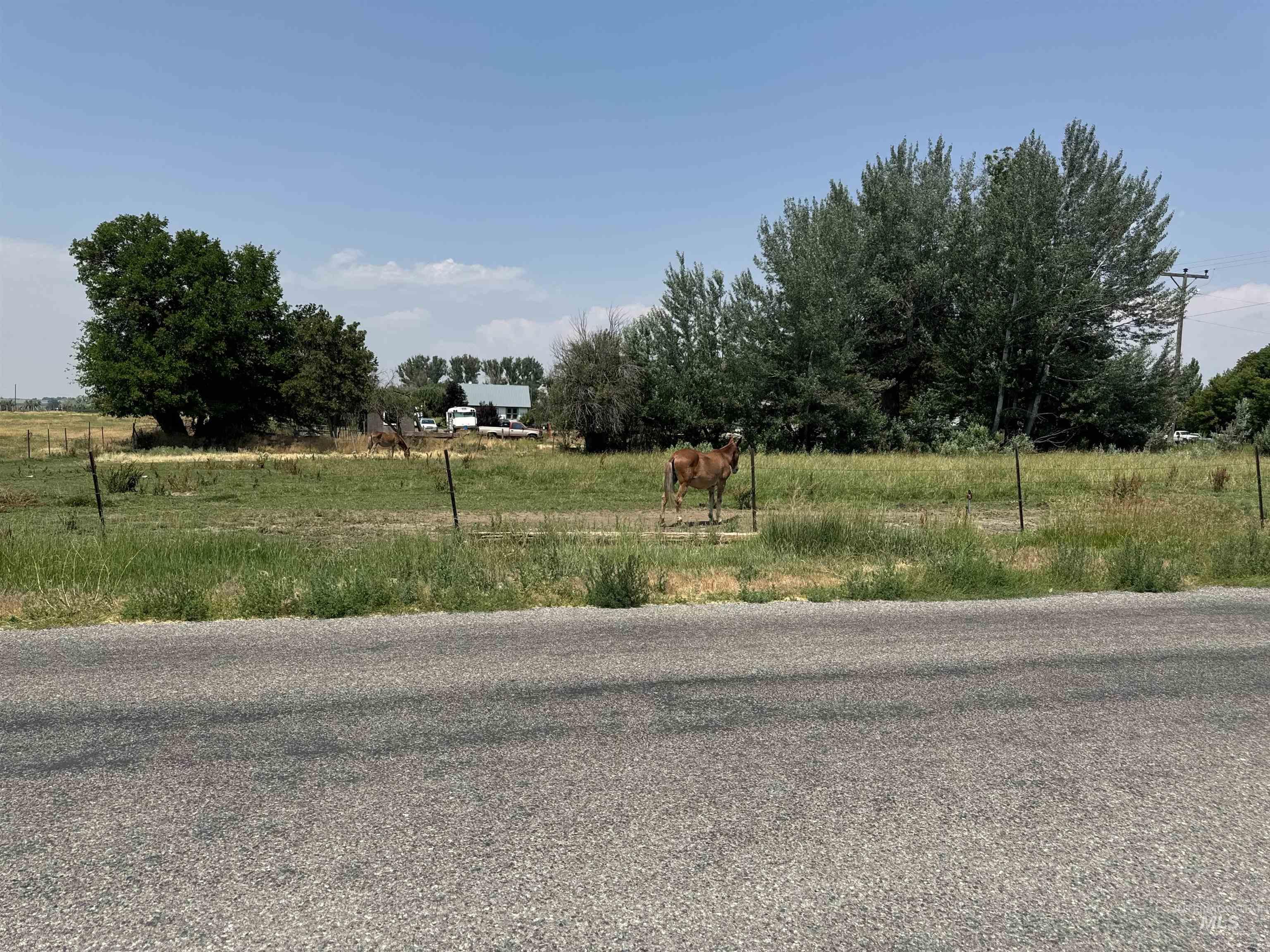 Cassia Avenue, Lot #8, Richfield, Idaho 83349, Land For Sale, Price $30,000, 98918717