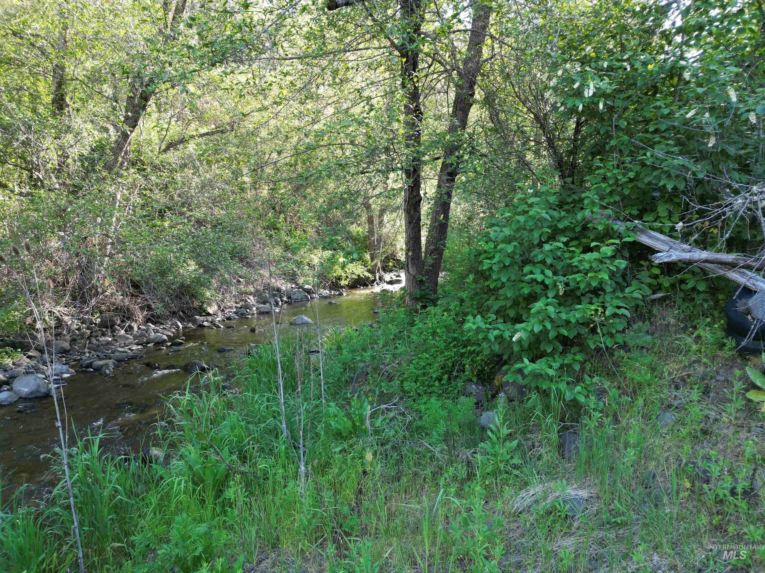 TBD Twisted Tree Lane, Peck, Idaho 83545, Land For Sale, Price $850,000,MLS 98918805