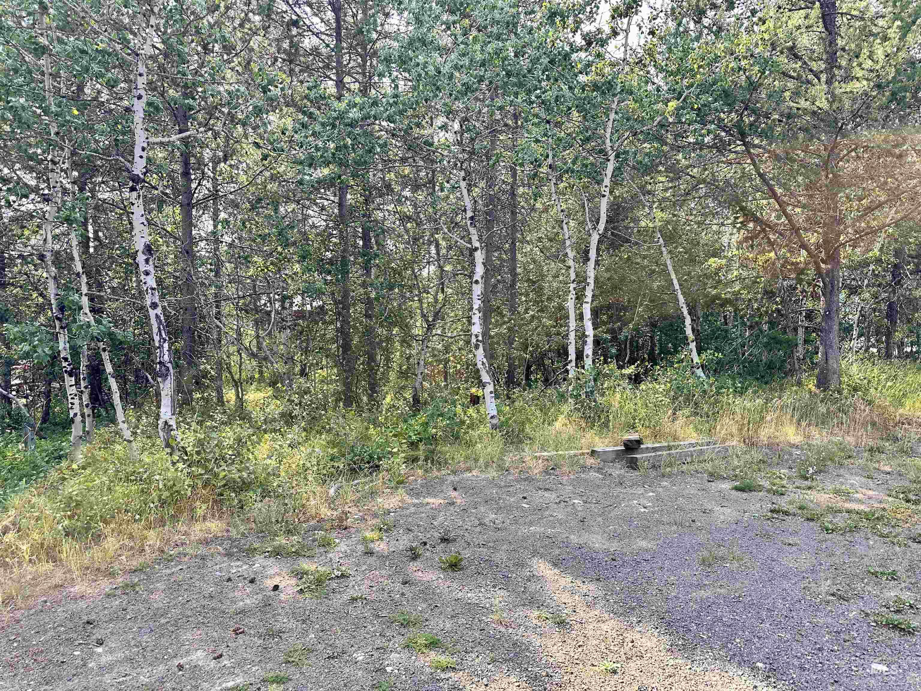 615 Syringa, McCall, Idaho 83638, Land For Sale, Price $230,000, 98918829