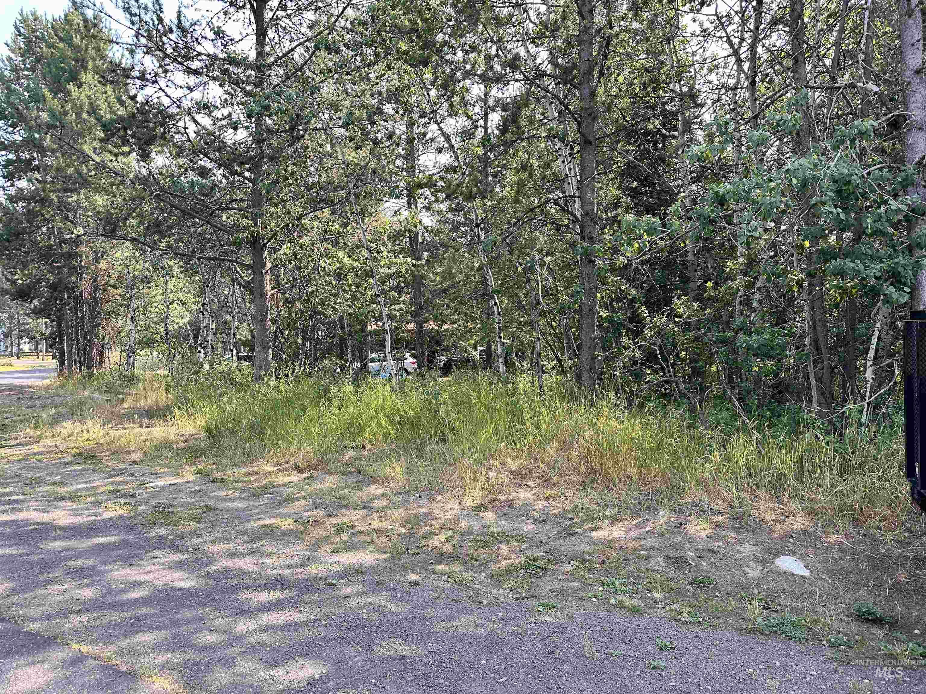 615 Syringa, McCall, Idaho 83638, Land For Sale, Price $230,000, 98918829