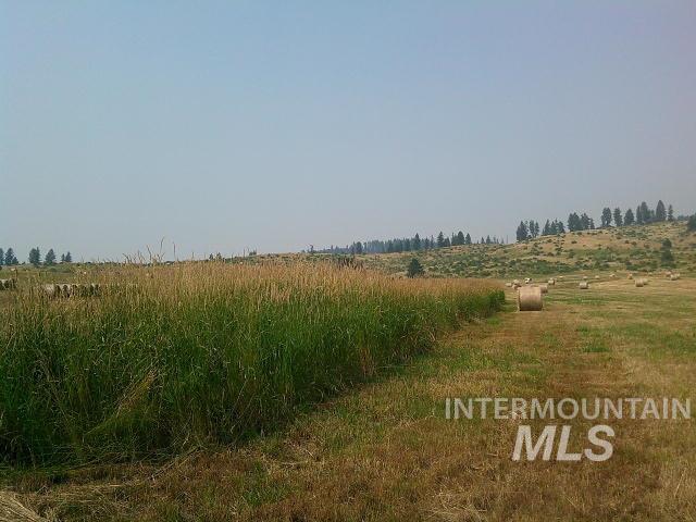 TBD Johnson Road, Kamiah, Idaho 83536, Land For Sale, Price $369,000,MLS 98918848