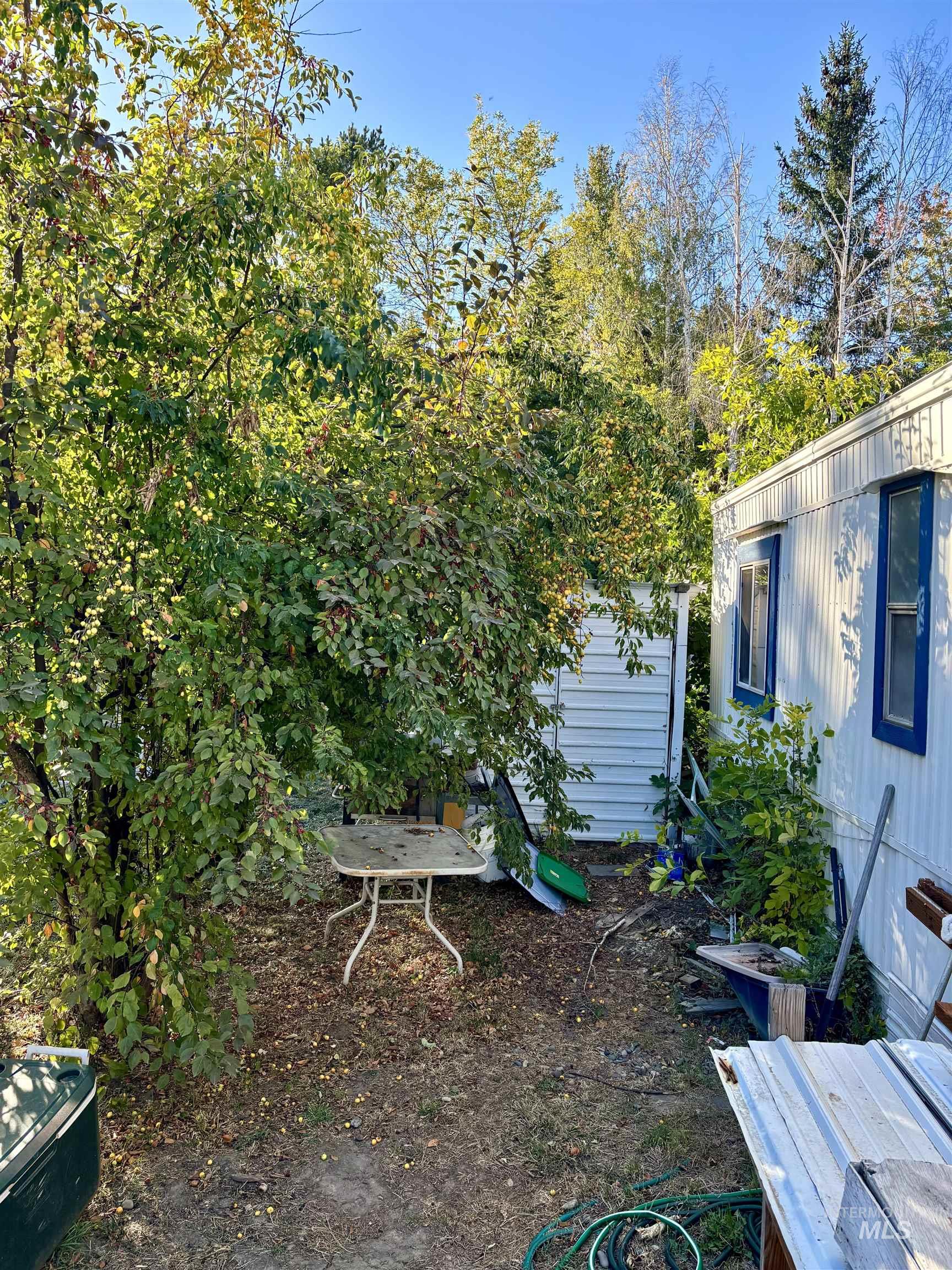 411 N Almon, Moscow, Idaho 83843, 3 Bedrooms, 2 Bathrooms, Residential For Sale, Price $30,000, 98919012