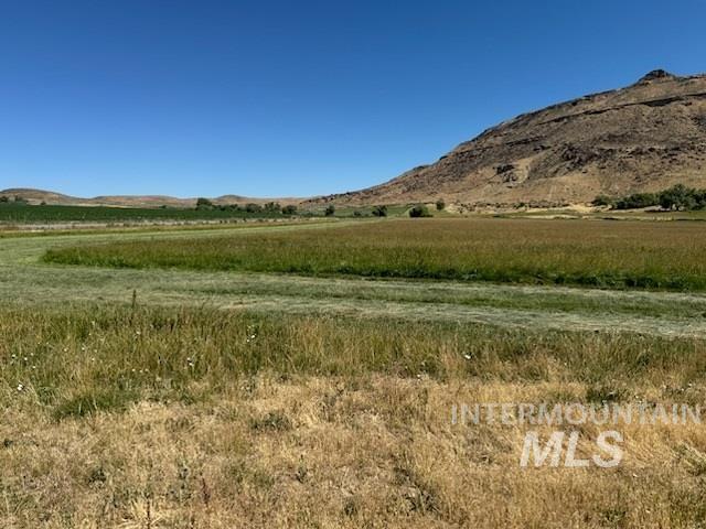 2225 Rock Springs Canyon Rd, Nyssa, Oregon 97913, 3 Bedrooms, 1 Bathroom, Farm & Ranch For Sale, Price $933,000, 98919150