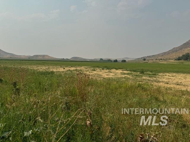 2225 Rock Springs Canyon Rd, Nyssa, Oregon 97913, 3 Bedrooms, 1 Bathroom, Farm & Ranch For Sale, Price $933,000, 98919150