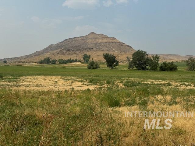 2225 Rock Springs Canyon Rd, Nyssa, Oregon 97913, 3 Bedrooms, 1 Bathroom, Farm & Ranch For Sale, Price $933,000, 98919150