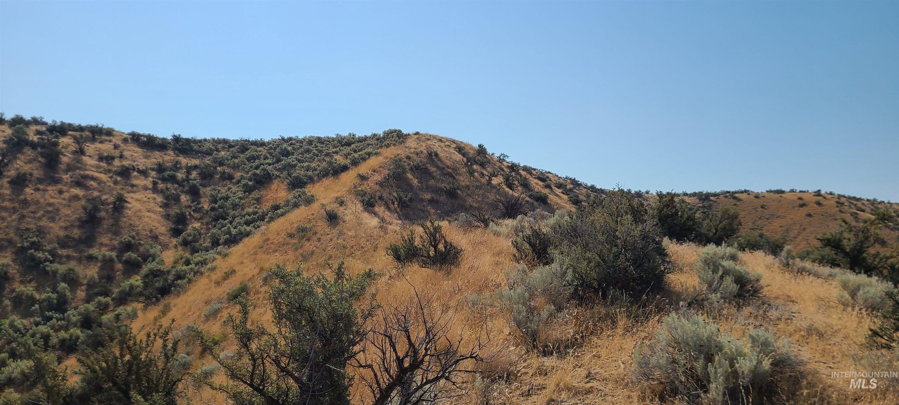 6752 N Plano LN, Boise, Idaho 83703, Land For Sale, Price $499,000,MLS 98919182