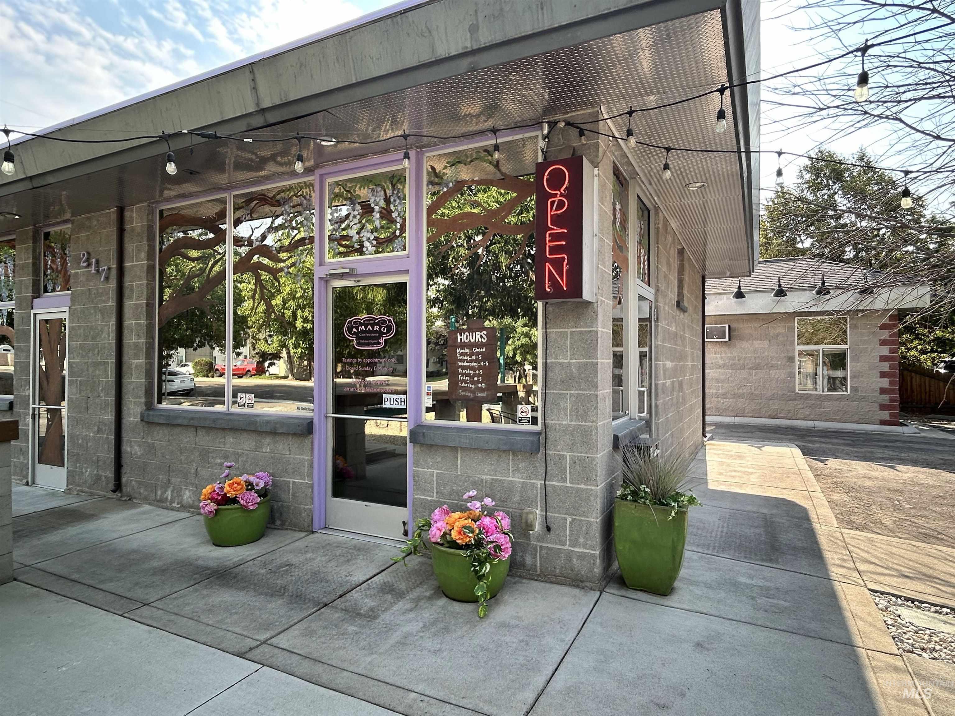 217 S Roosevelt, Boise, Idaho 83705, Business/Commercial For Sale, Price $550,000,MLS 98919496