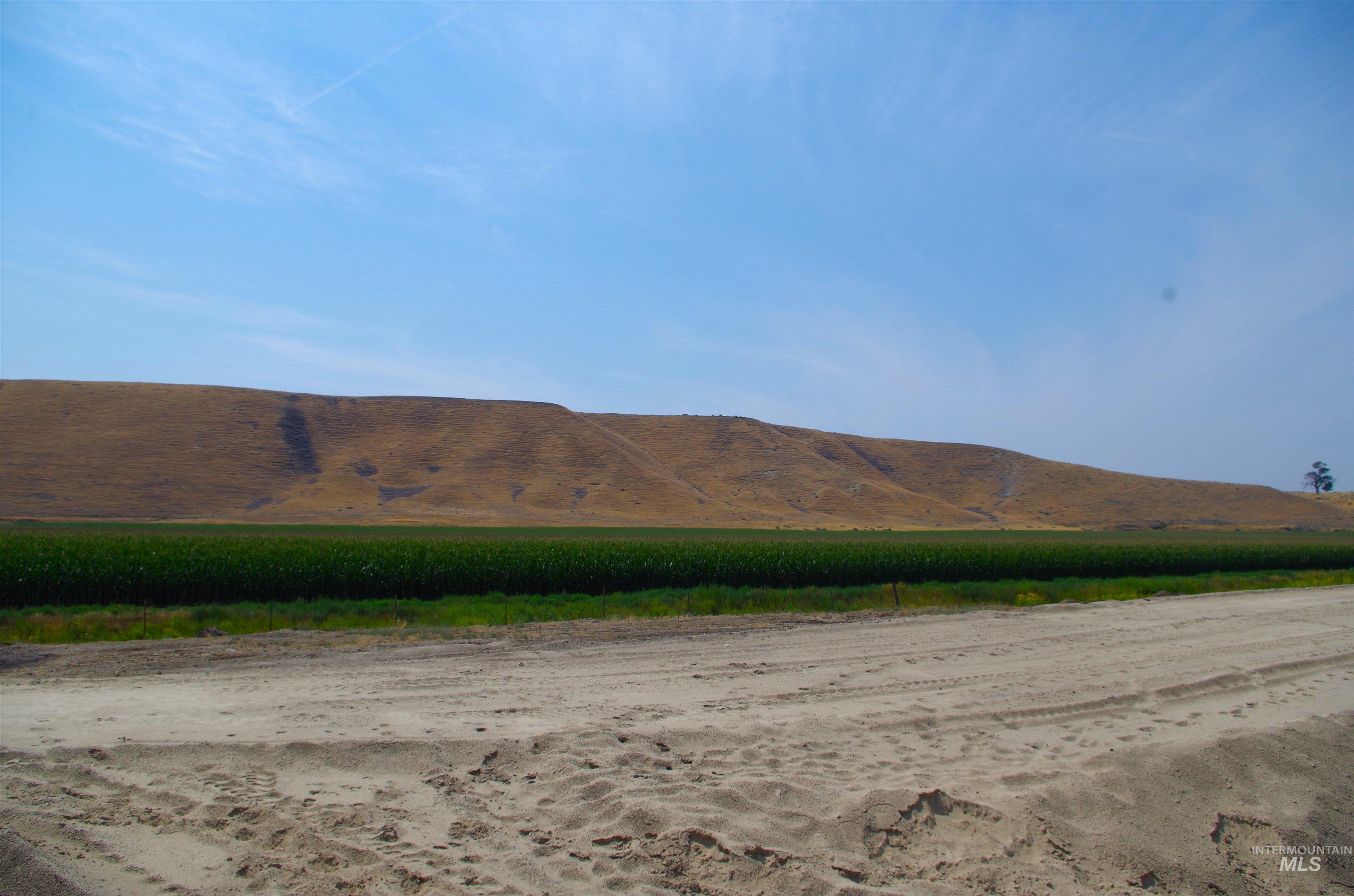 TBD River Rd, Homedale, Idaho 83628-3580, Land For Sale, Price $800,000, 98919532