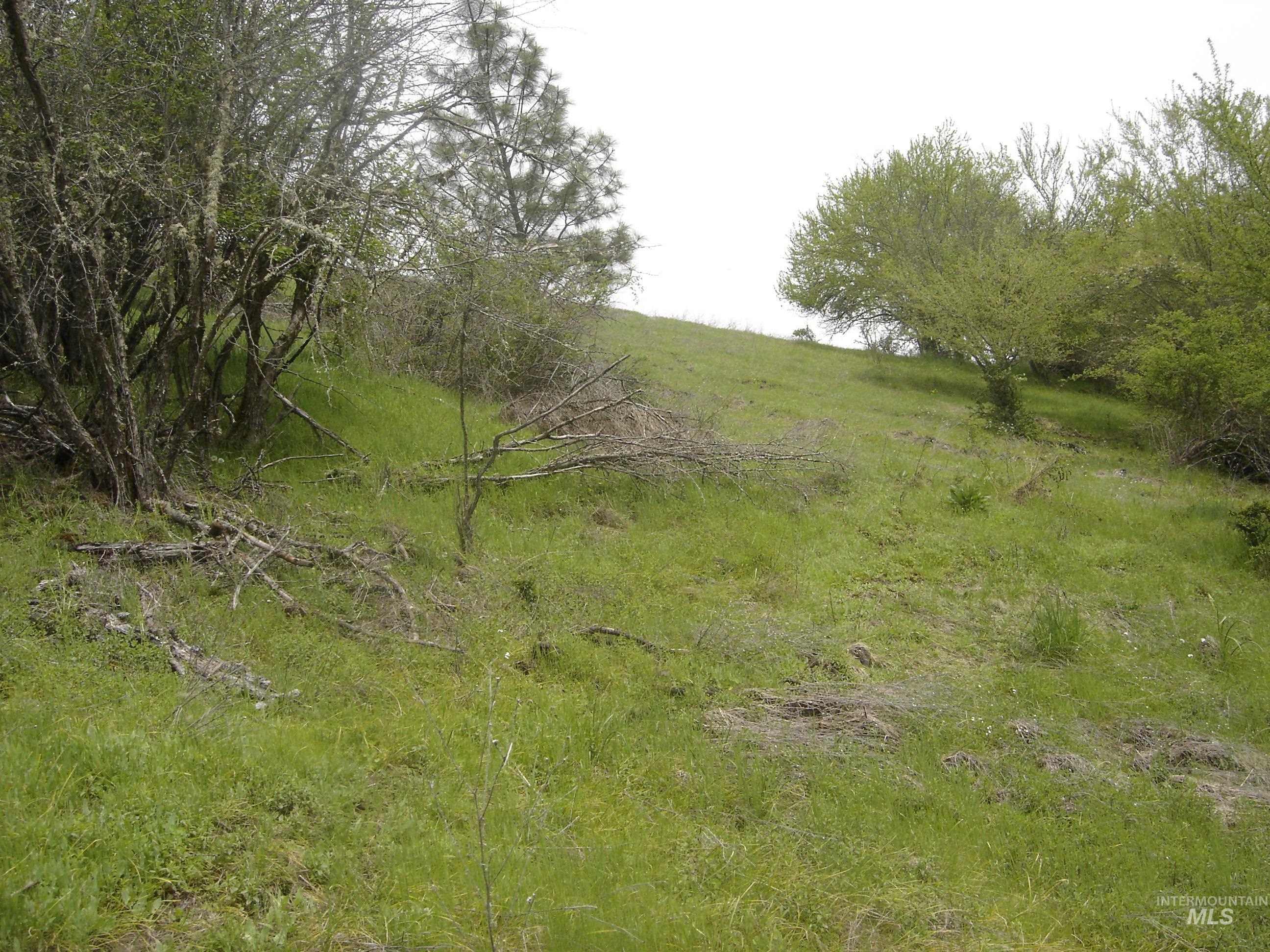 1068 Clearcreek Road, Kooskia, Idaho 83539, Land For Sale, Price $139,900, 98920039