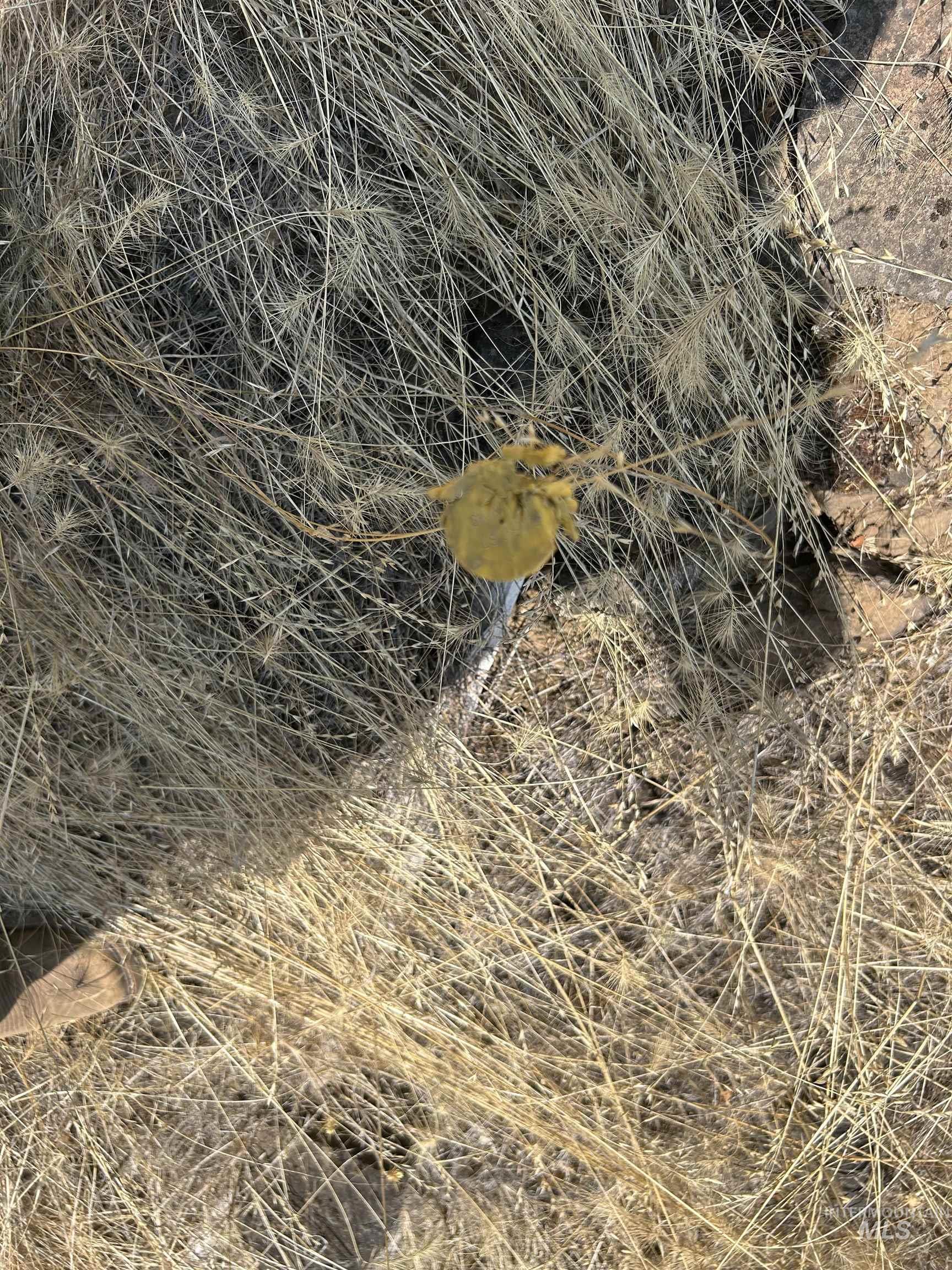 1068 Clearcreek Road, Kooskia, Idaho 83539, Land For Sale, Price $139,900, 98920039