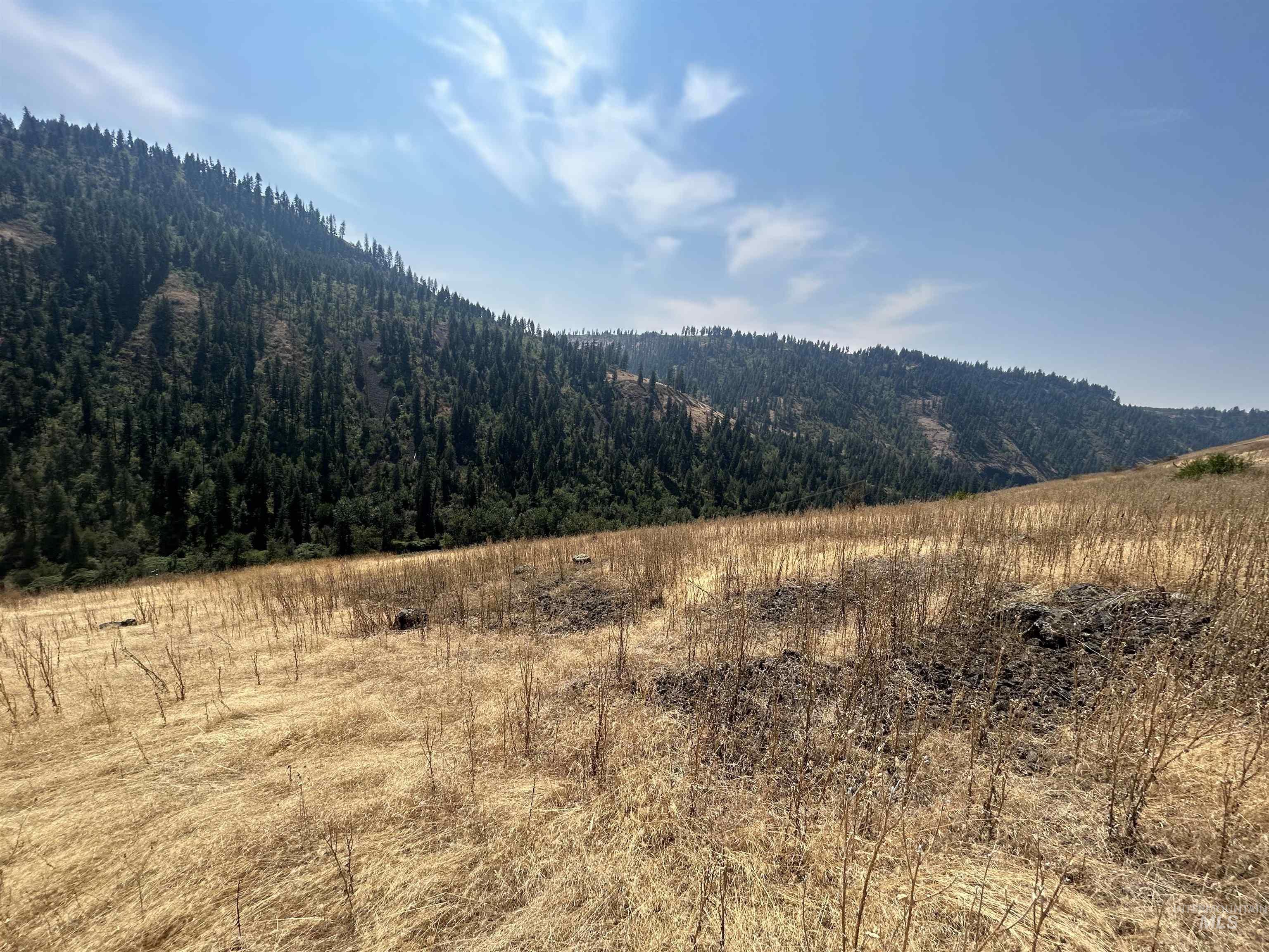 1068 Clearcreek Road, Kooskia, Idaho 83539, Land For Sale, Price $139,900, 98920039