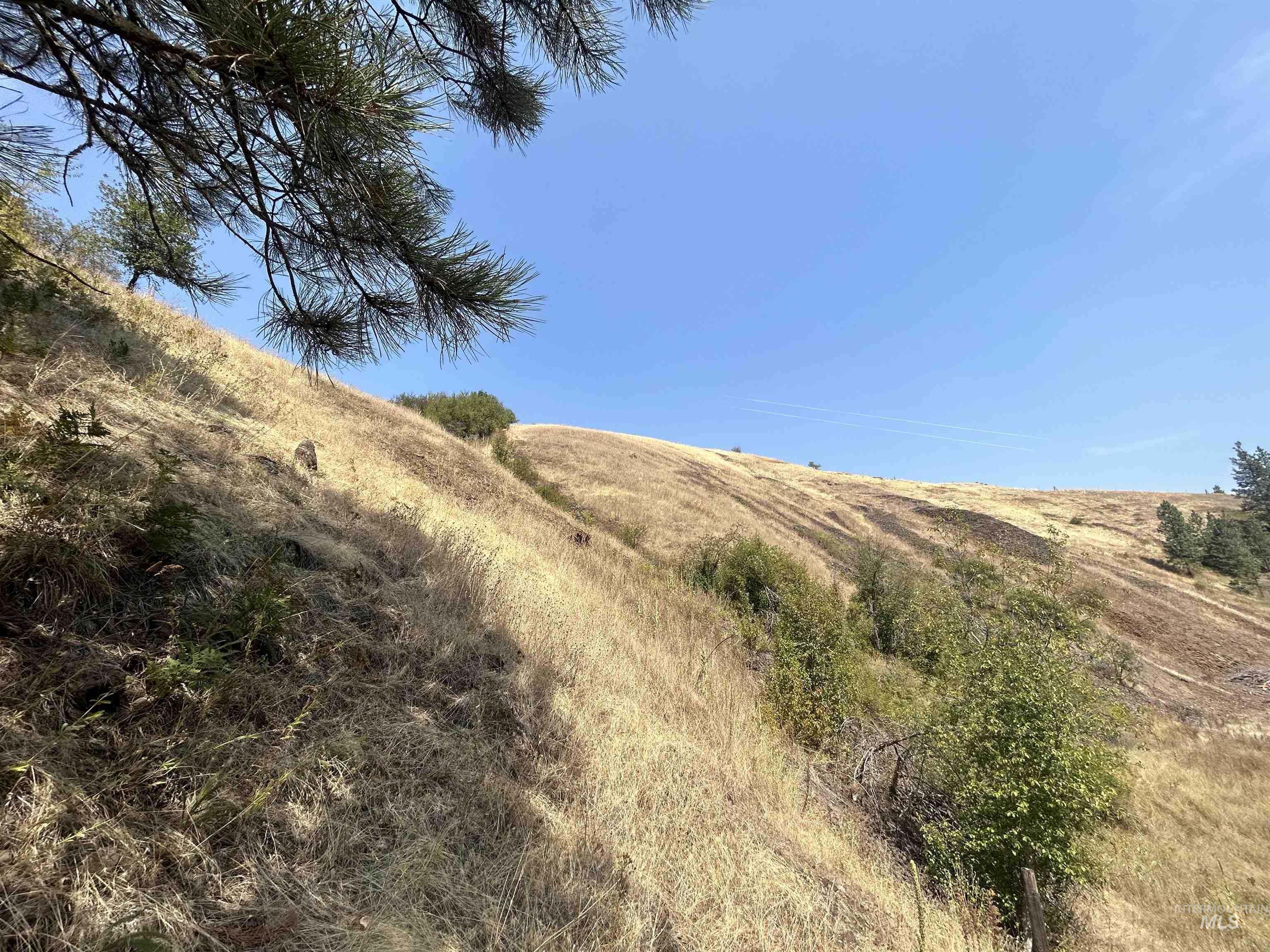 1068 Clearcreek Road, Kooskia, Idaho 83539, Land For Sale, Price $139,900, 98920039