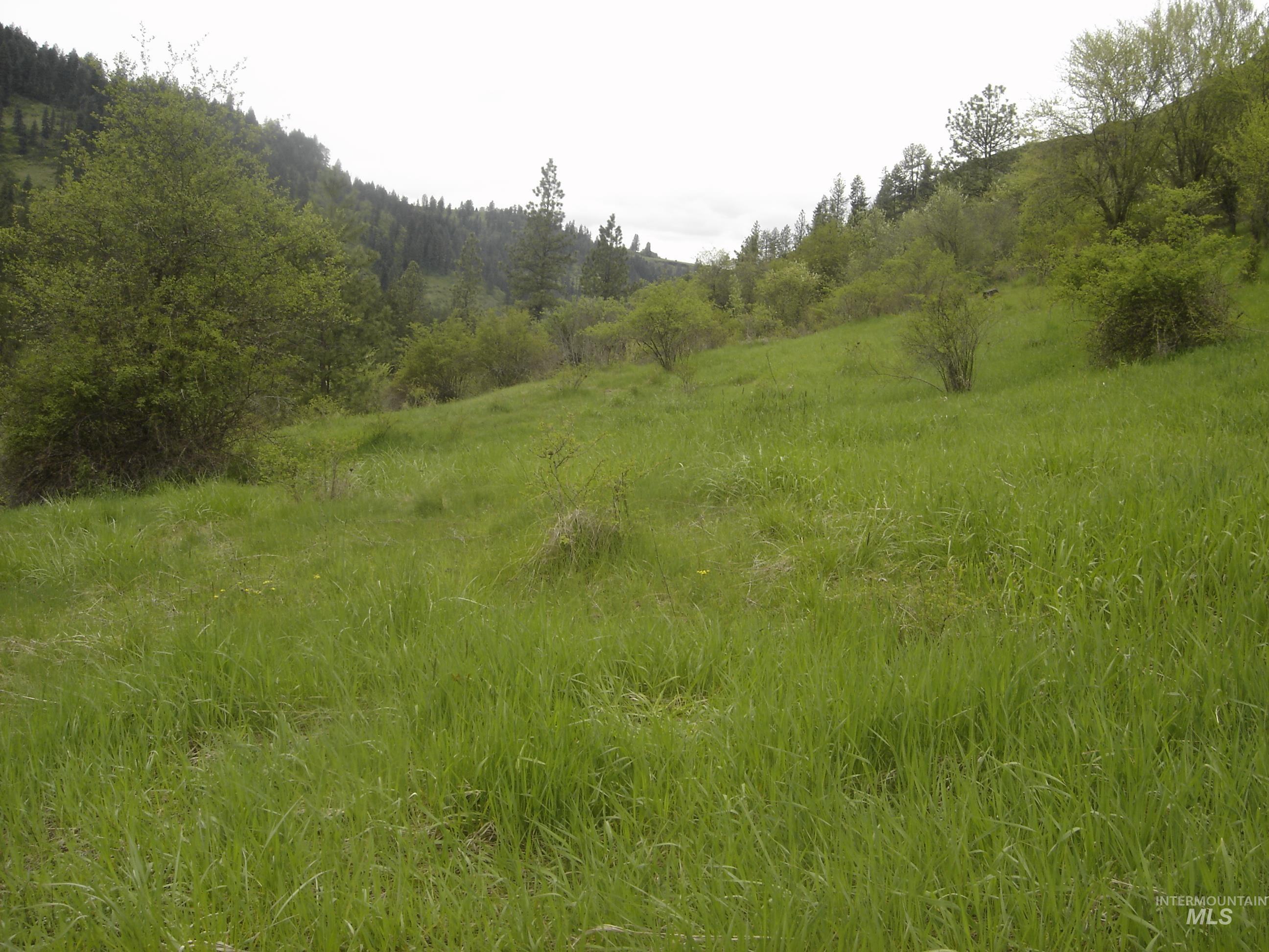 1068 Clearcreek Road, Kooskia, Idaho 83539, Land For Sale, Price $139,900, 98920039