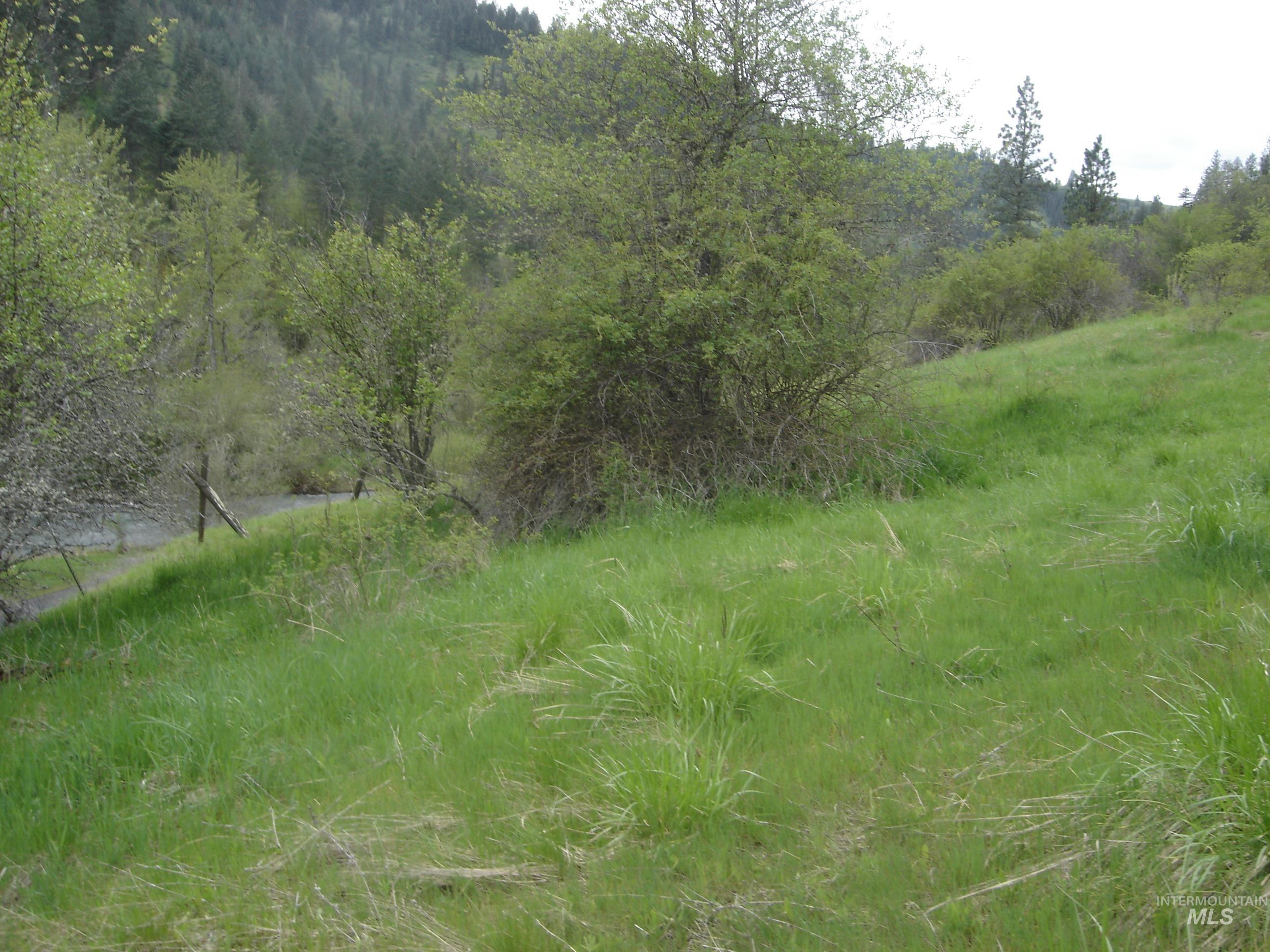 1068 Clearcreek Road, Kooskia, Idaho 83539, Land For Sale, Price $139,900, 98920039