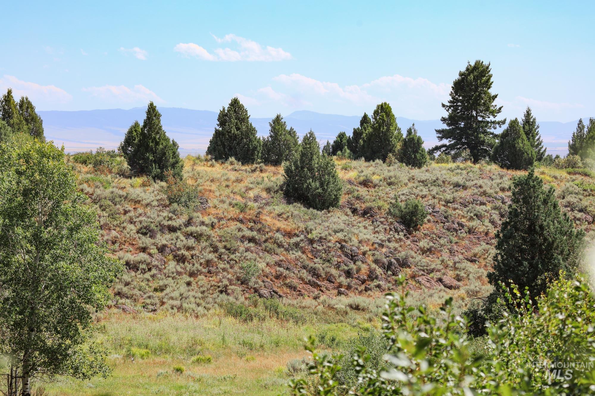 1780 Sadorus Hill Rd., Ashton, Idaho 83420, 2 Bedrooms, 1 Bathroom, Farm & Ranch For Sale, Price $9,000,000, 98920227